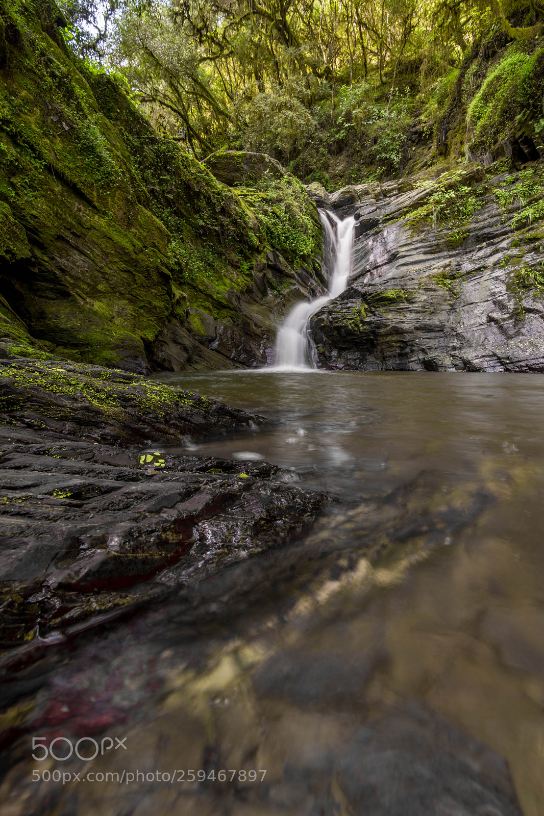 Nikon D7200 sample photo. San javier waterfall photography