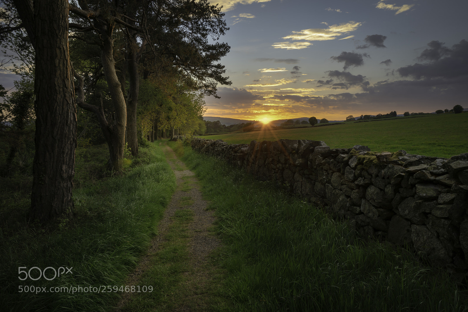 Sony a7R II sample photo. Roundwood photography