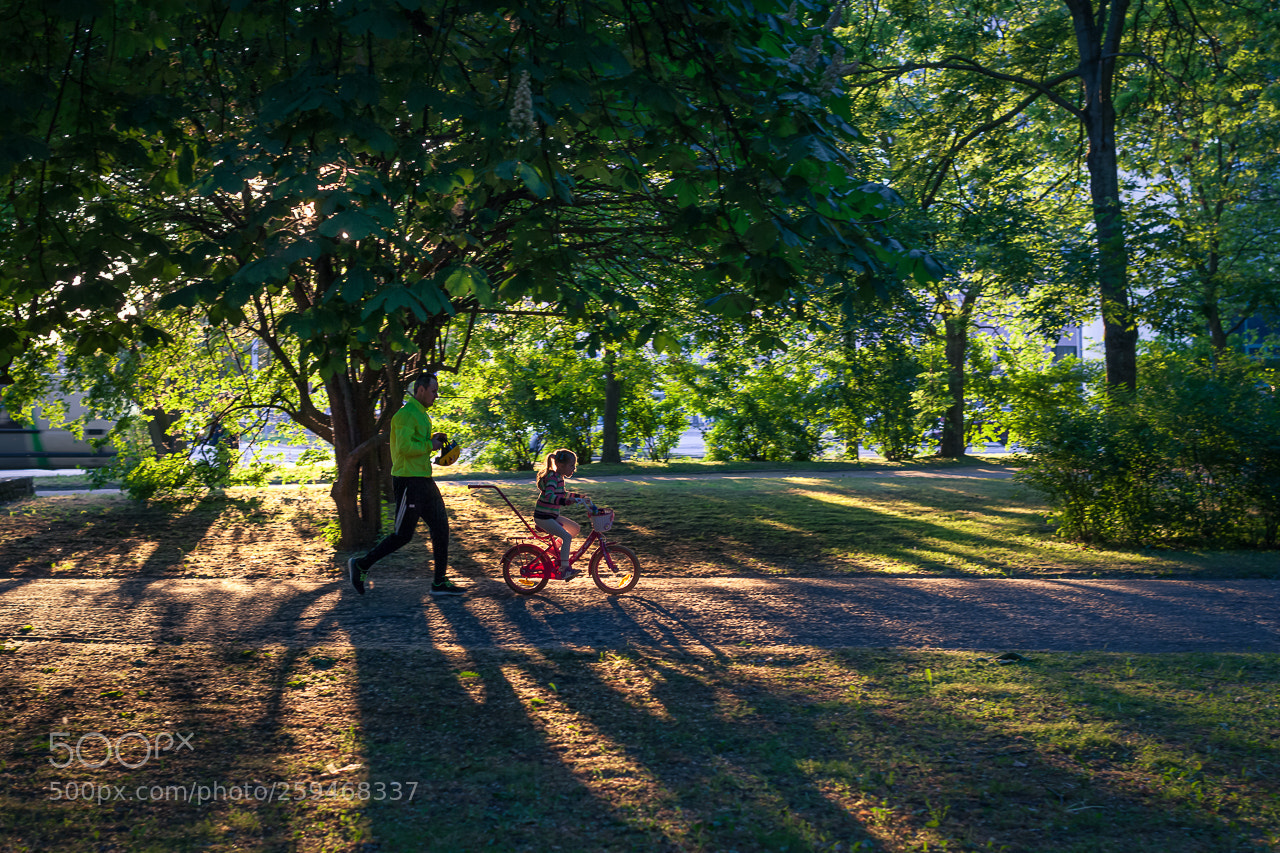 Canon EOS 5D Mark II sample photo. In the city park photography