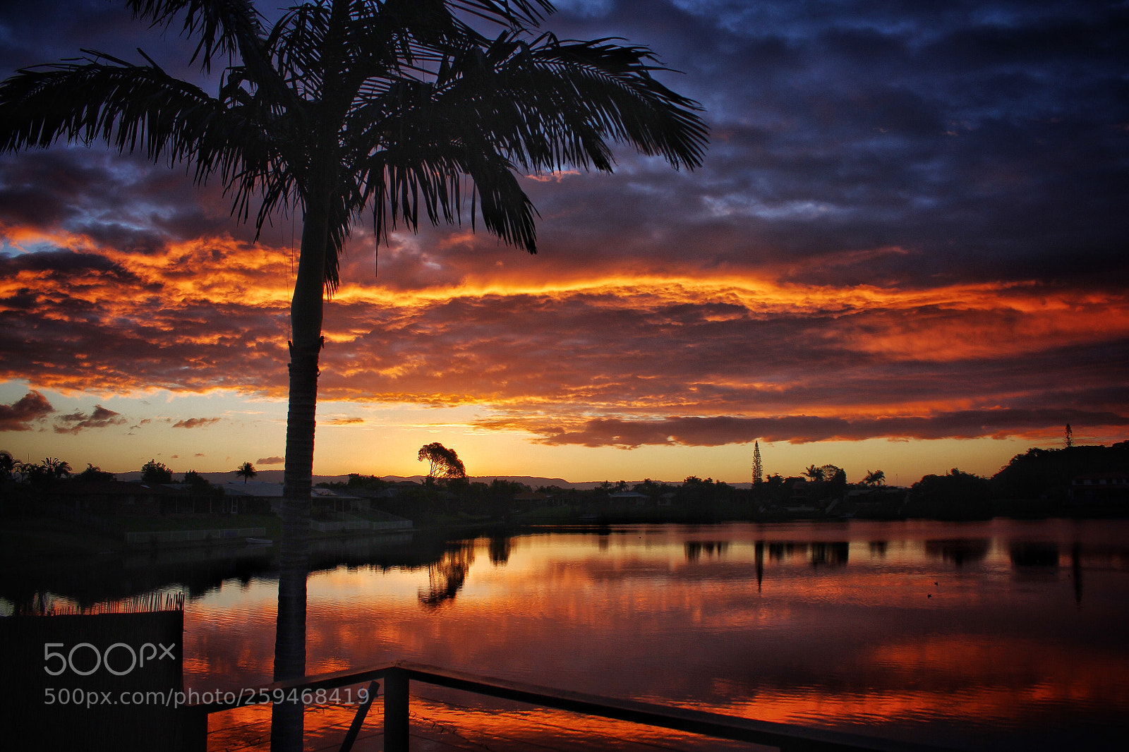 Canon EOS 60D sample photo. Backyard sunsets. ? photography