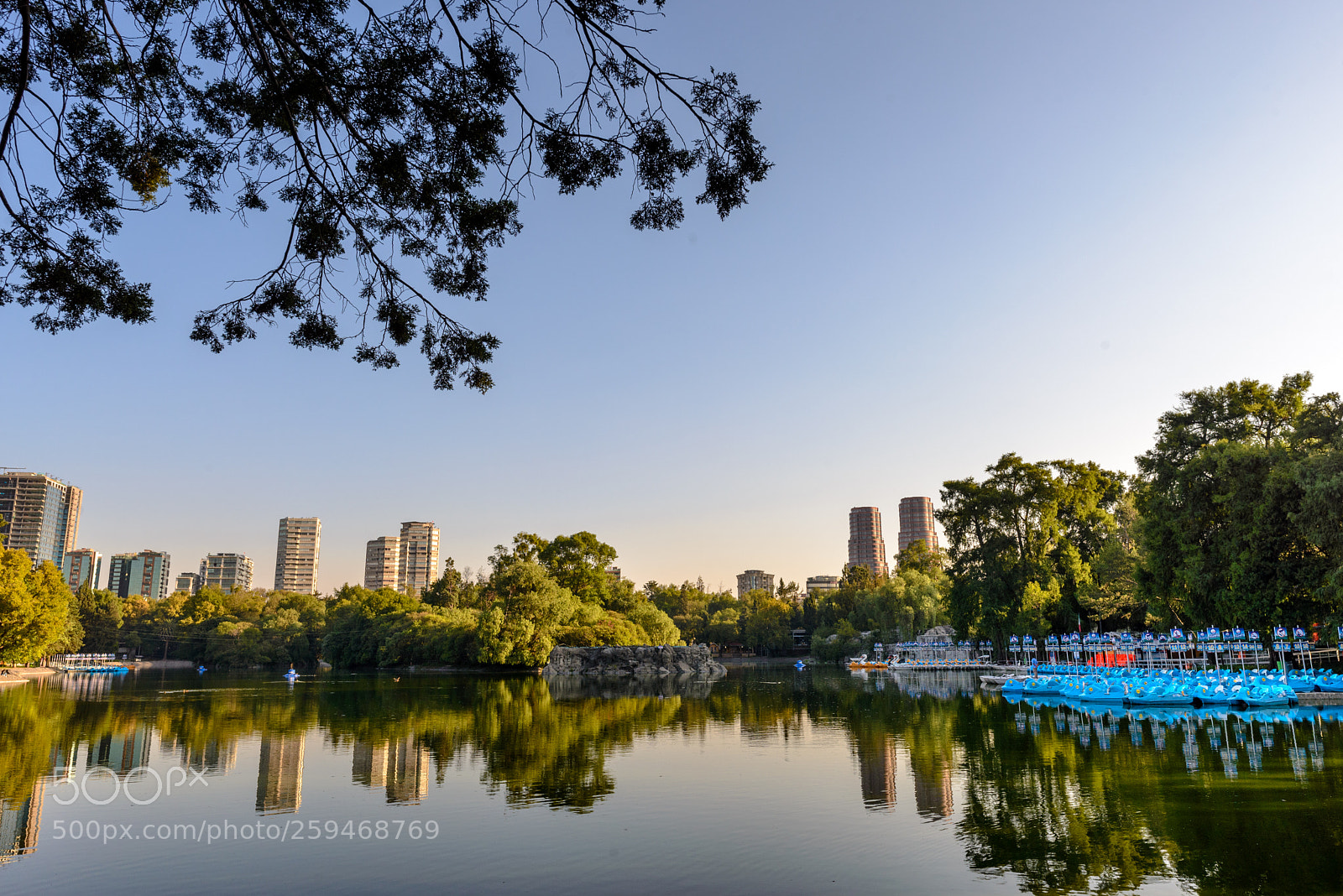 Nikon D610 sample photo. Untitled photography