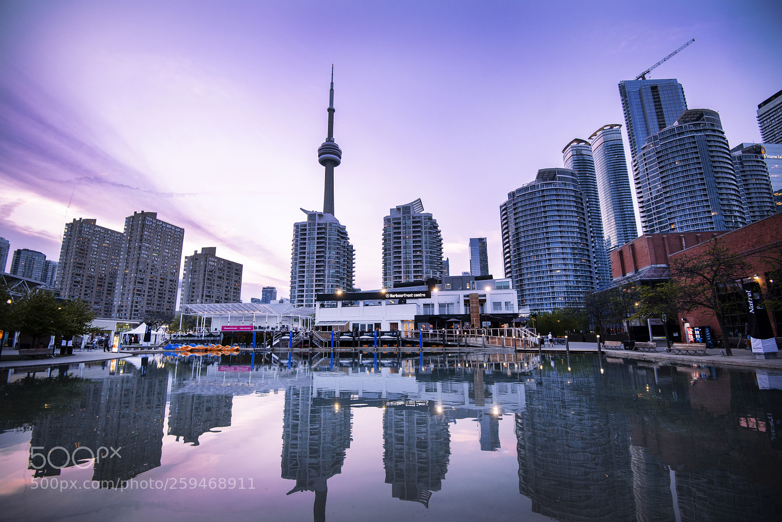 Nikon D750 sample photo. Toronto photography