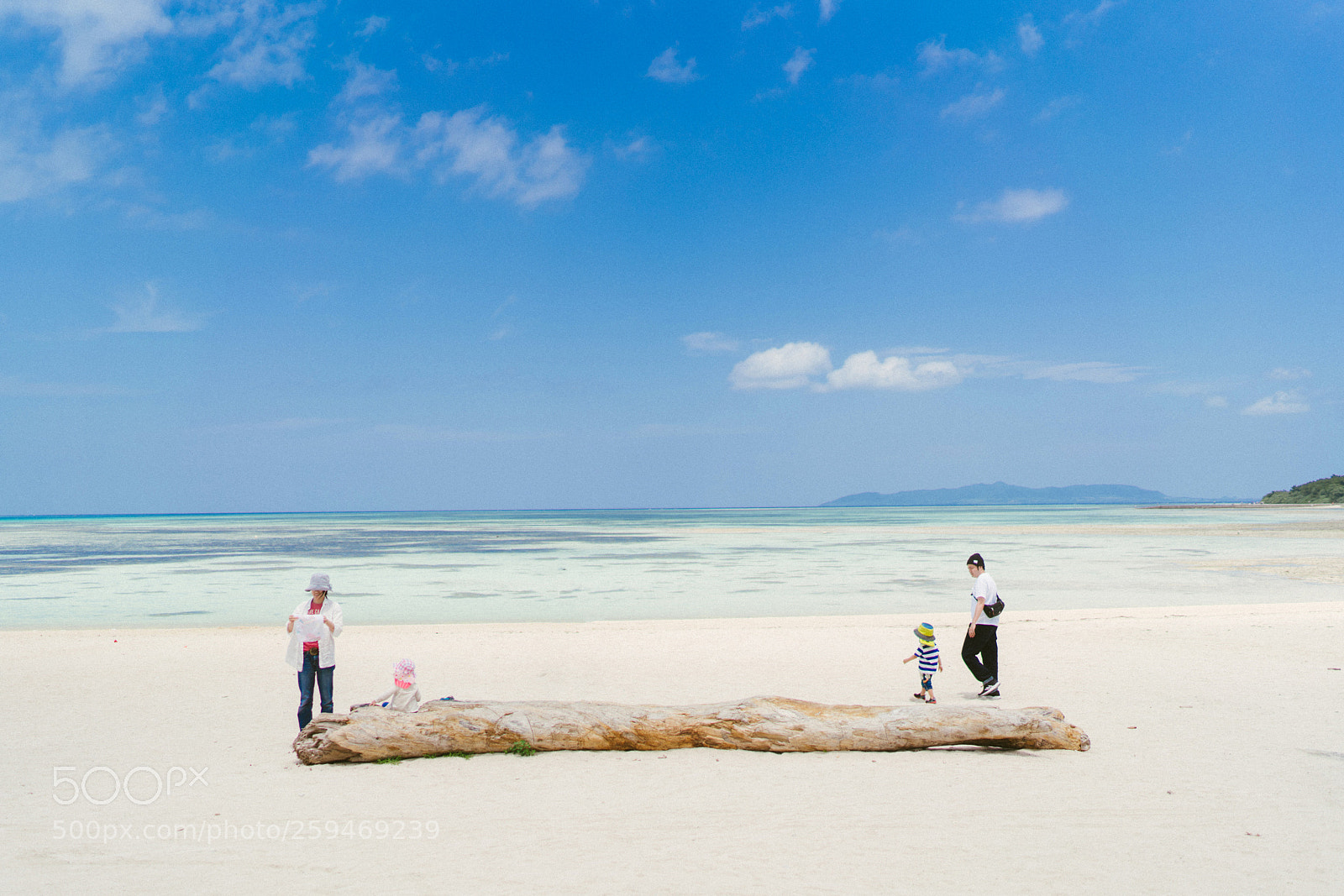 Sony a7R III sample photo. Color photography