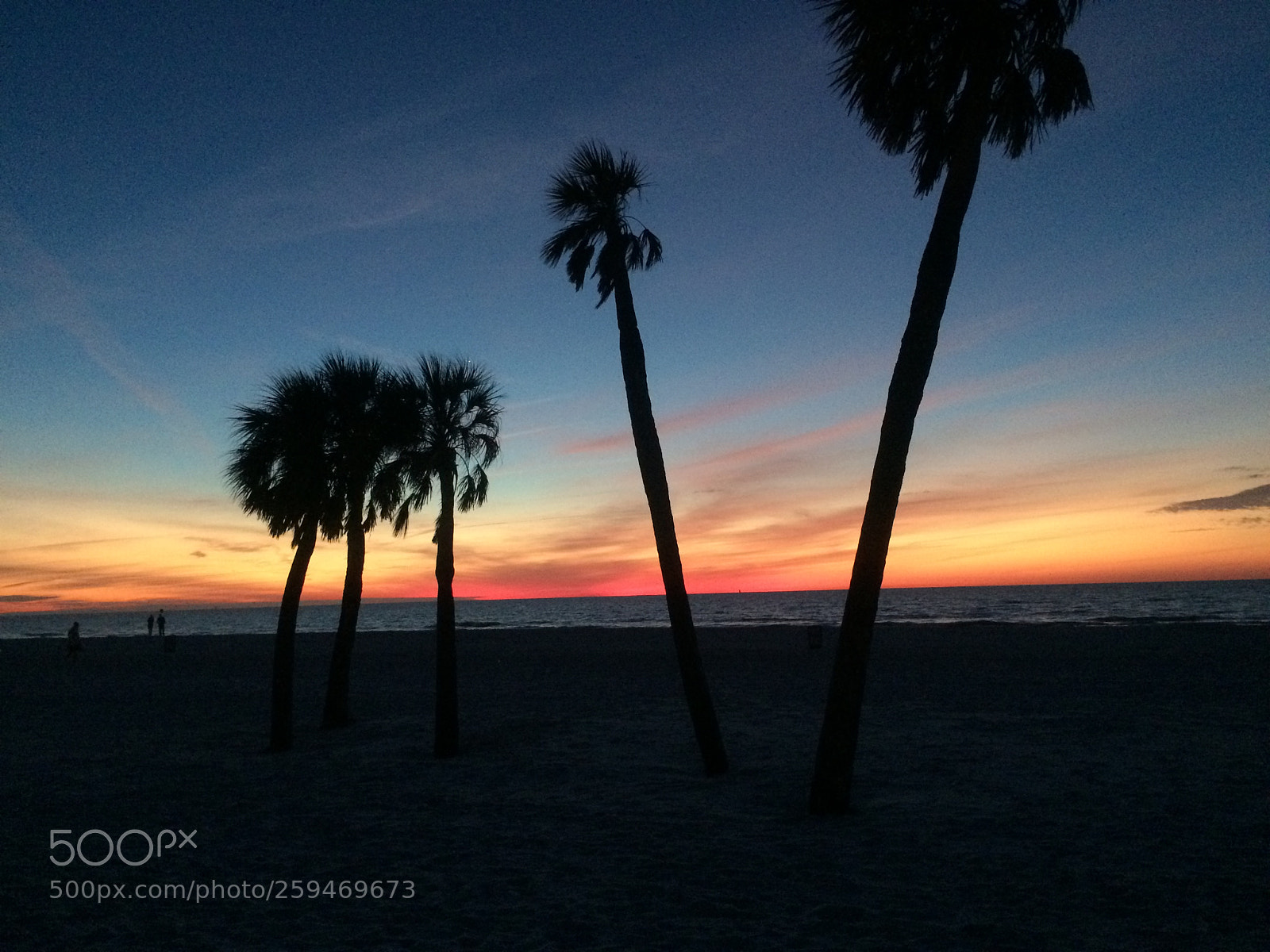 Apple iPhone 5s sample photo. Beautiful florida sunset photography