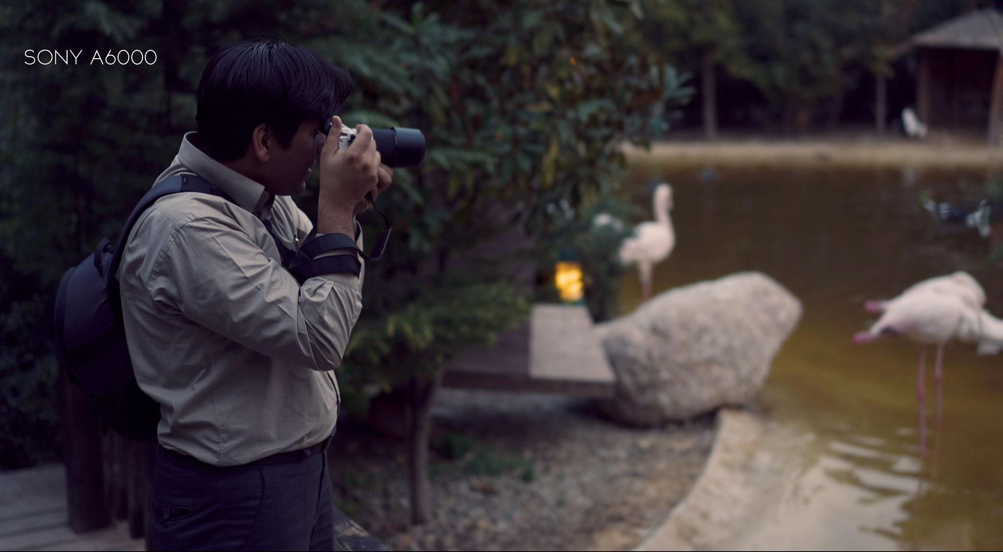 Sony a7S II sample photo. Zaimage () photography