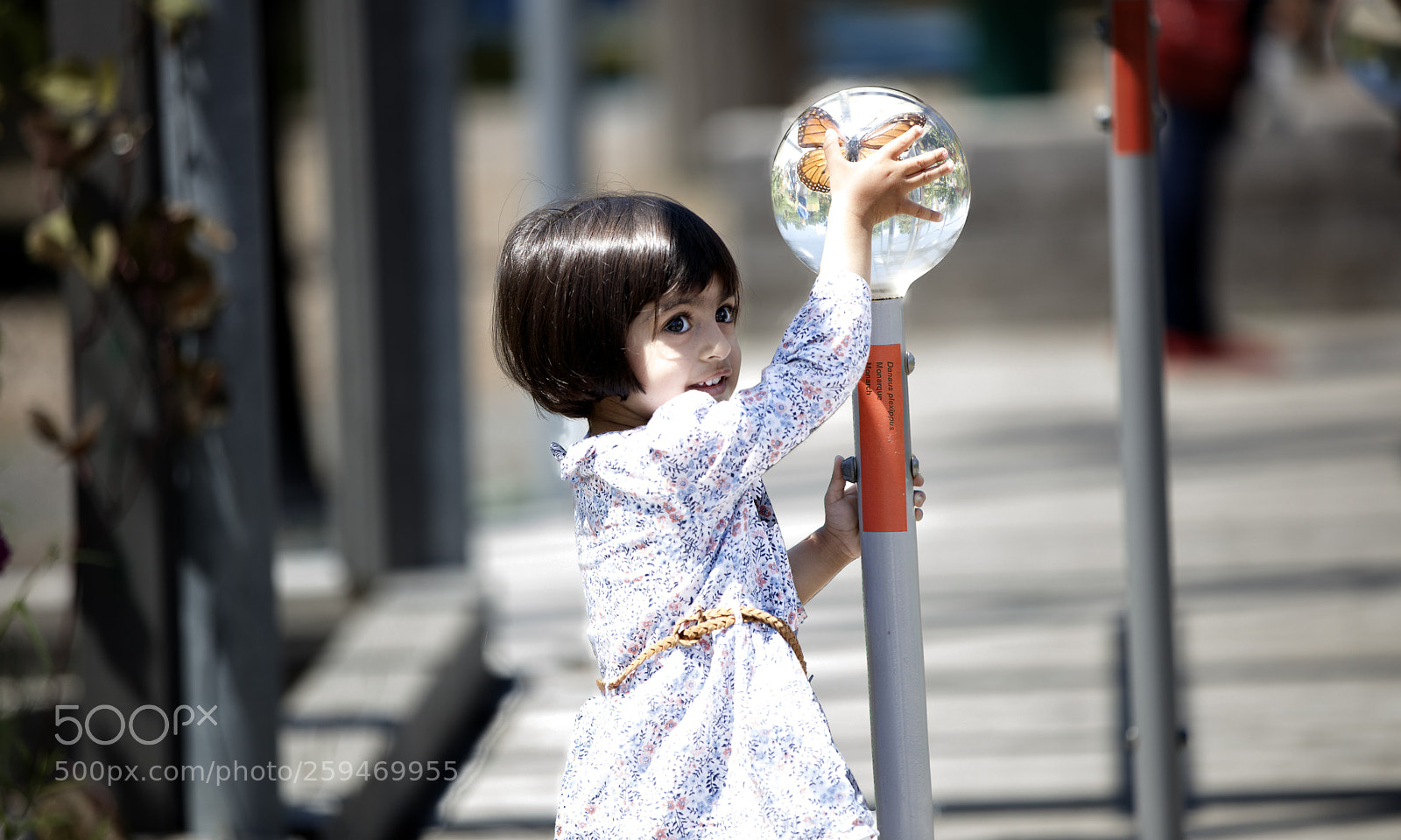 Canon EOS 5DS R sample photo. Sneaky move photography