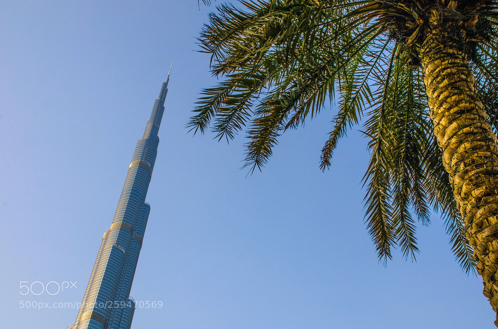 Nikon D7000 sample photo. Dubai photography