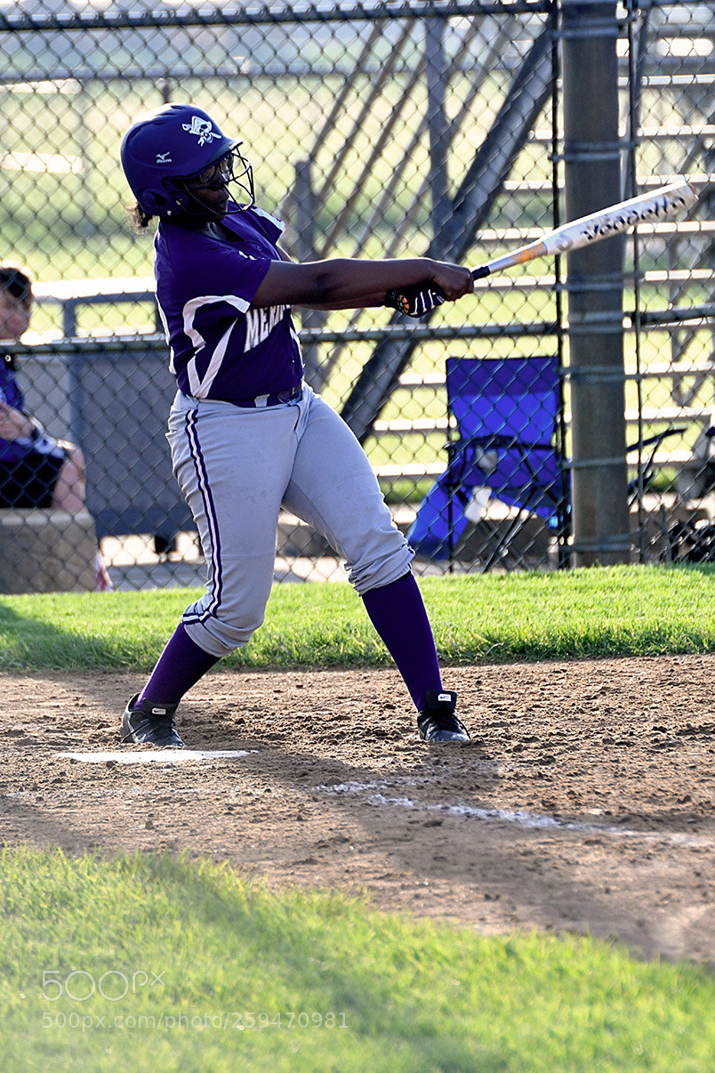 Nikon D500 sample photo. 5-22_0335.jpg photography