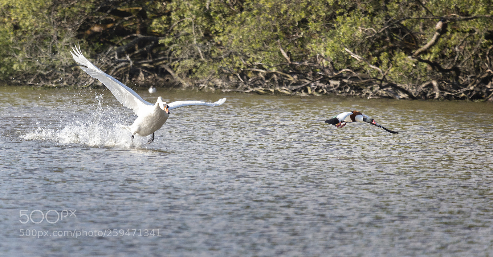 Canon EOS 5DS R sample photo. Get out of here photography