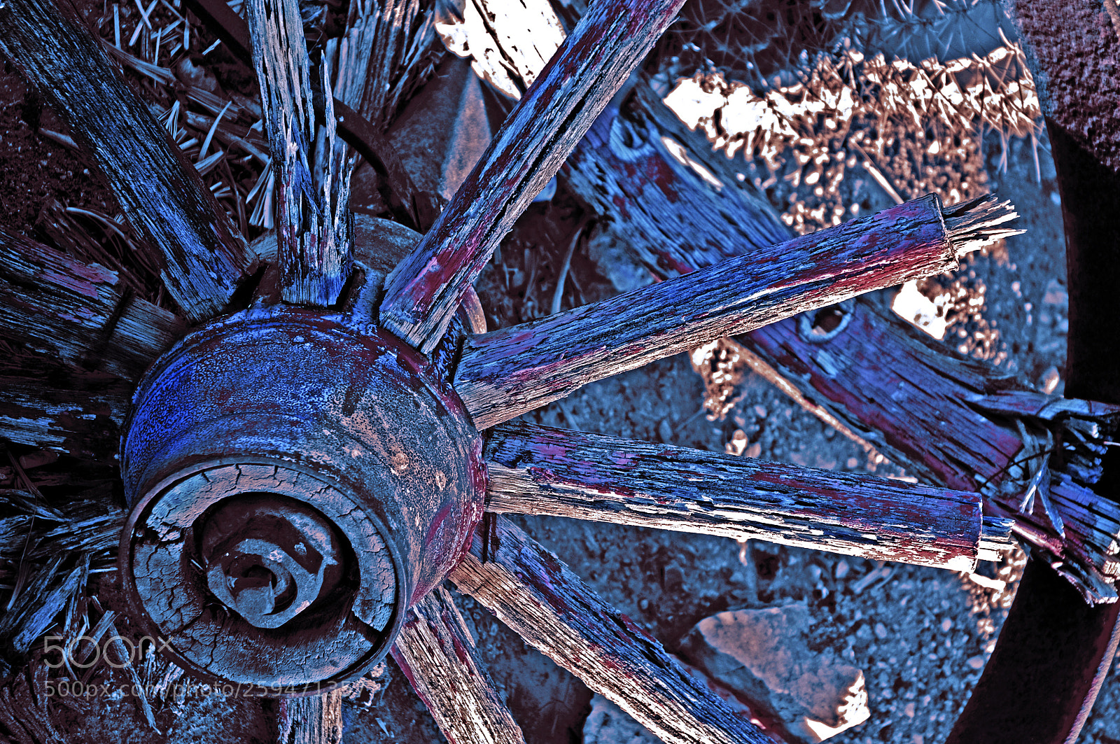 Nikon D300 sample photo. Old blue photography