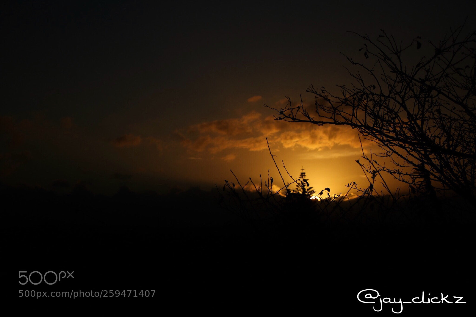 Canon EOS 70D sample photo. Untitled photography
