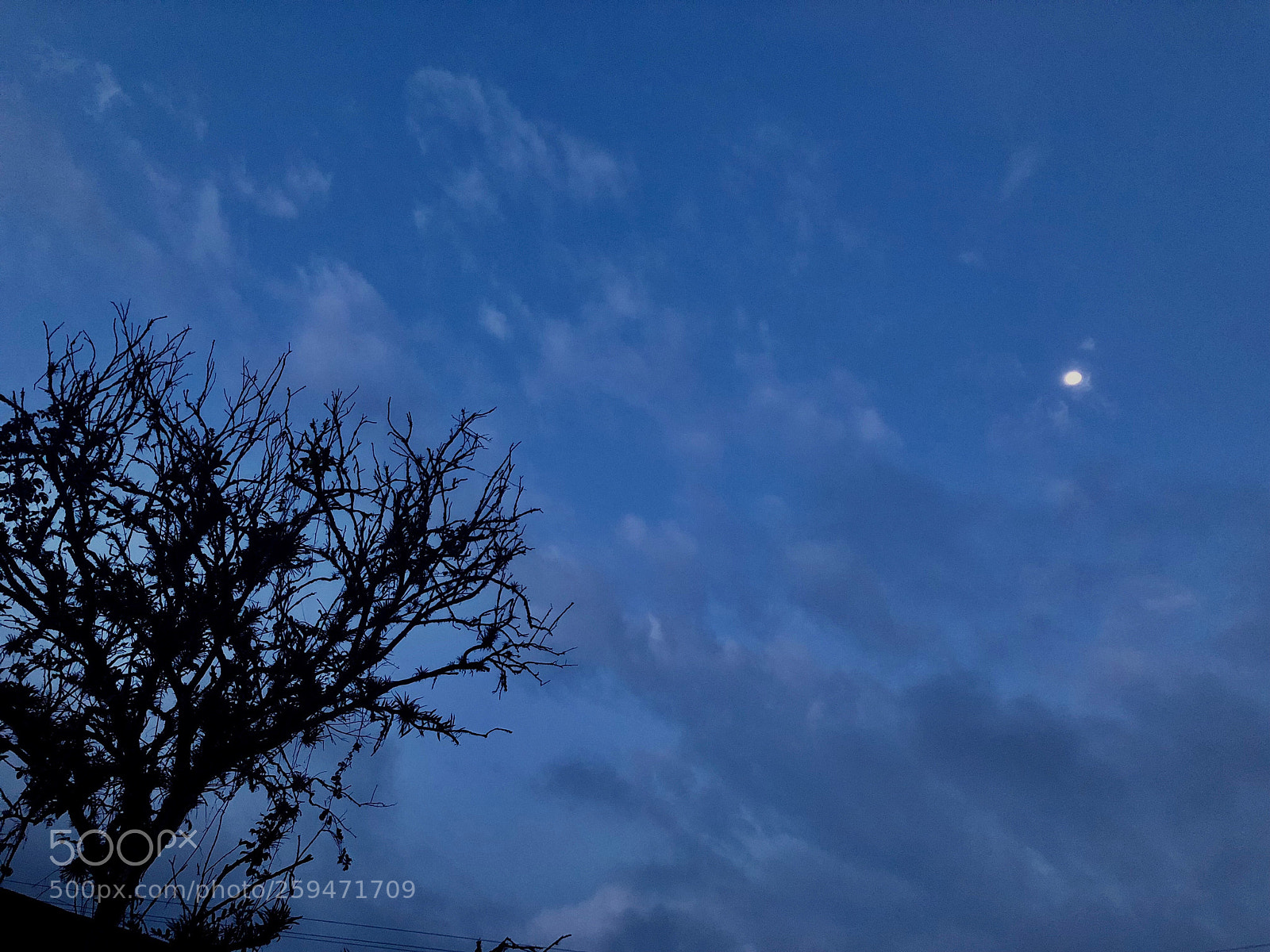 Apple iPhone 8 Plus sample photo. Moon photography