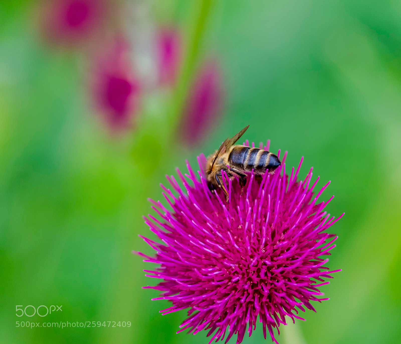 Canon EOS 80D sample photo. Untitled photography