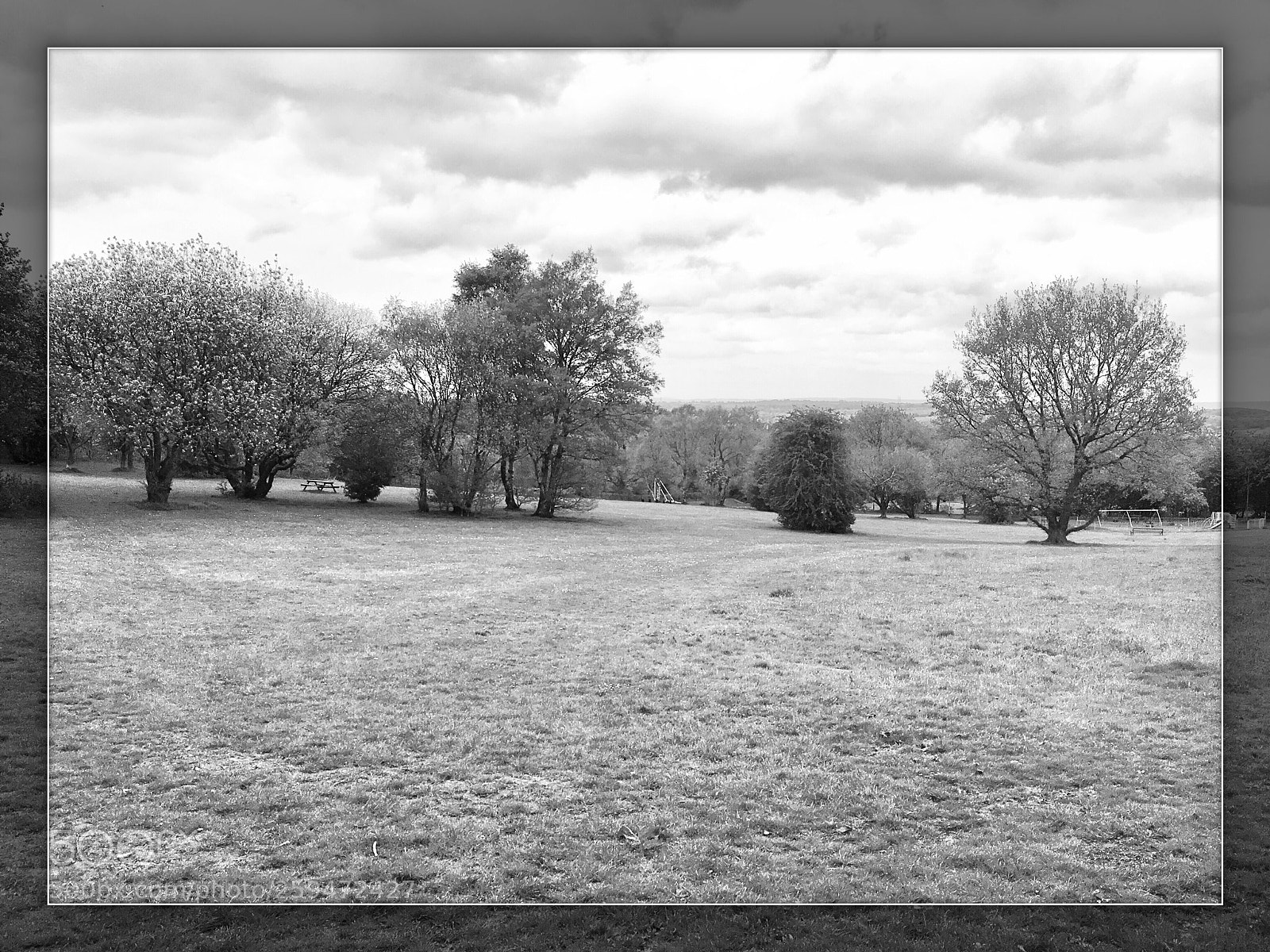 Apple iPhone 6s sample photo. Grindley park photography