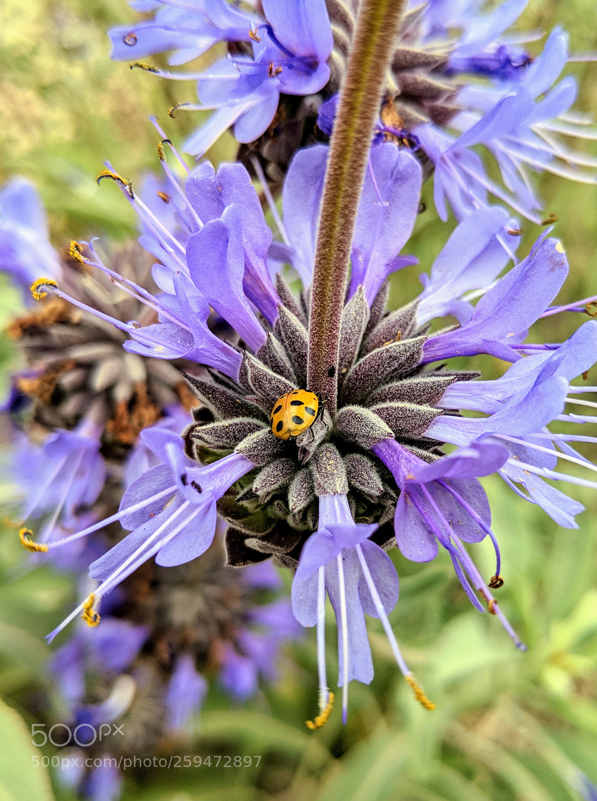 Google Pixel 2 XL sample photo. Untitled photography
