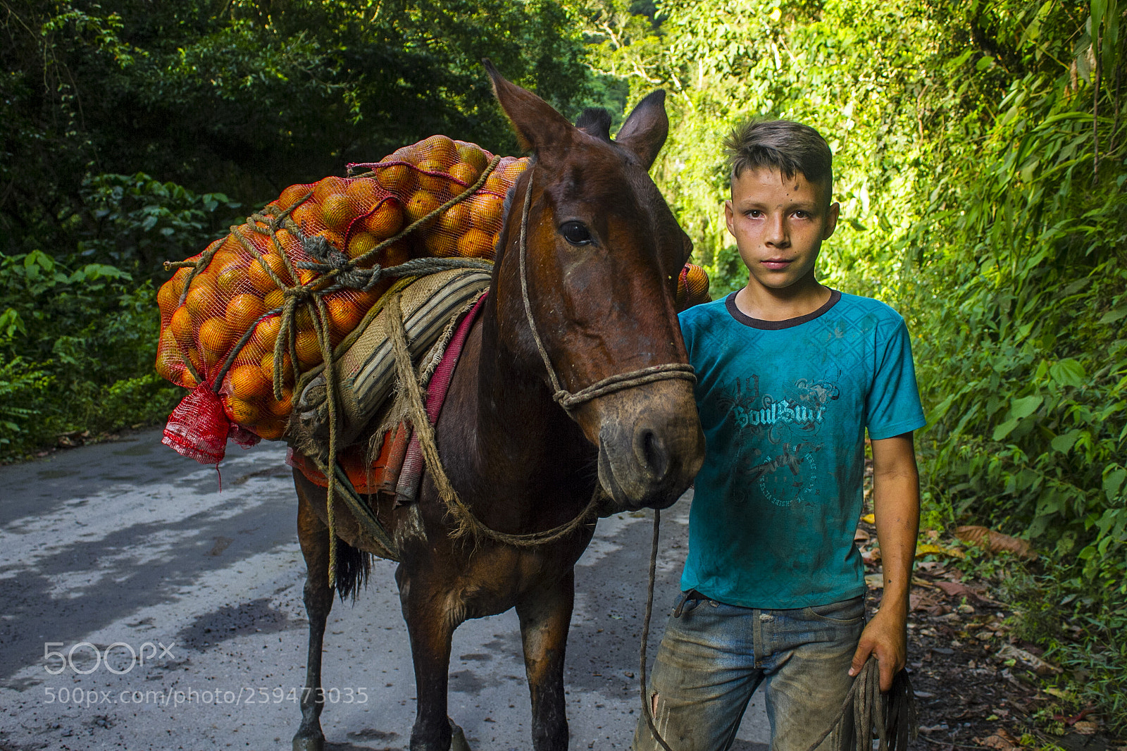 Canon EOS 7D sample photo. Niño campesino photography