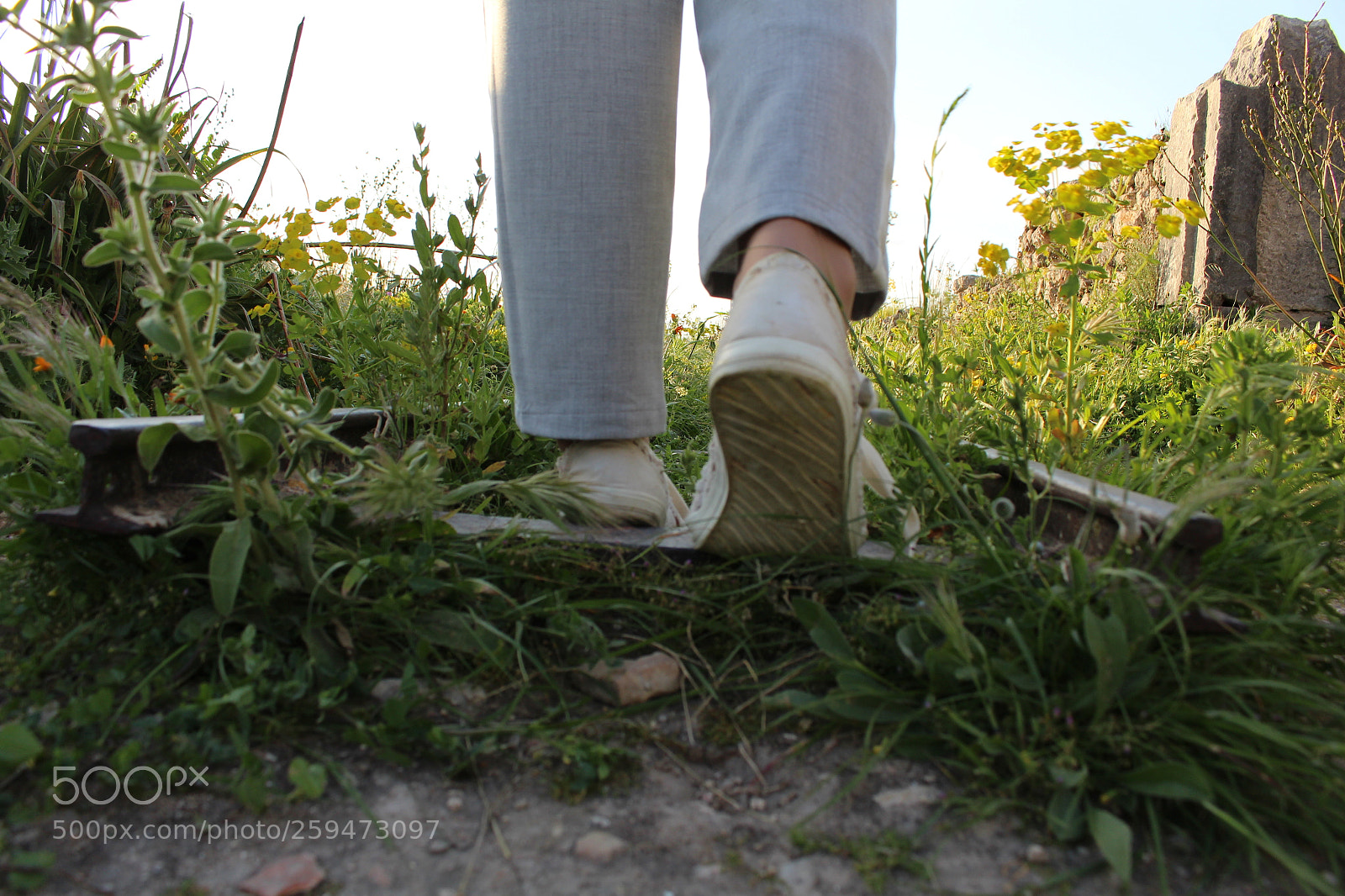 Canon EOS 700D (EOS Rebel T5i / EOS Kiss X7i) sample photo. Untitled photography