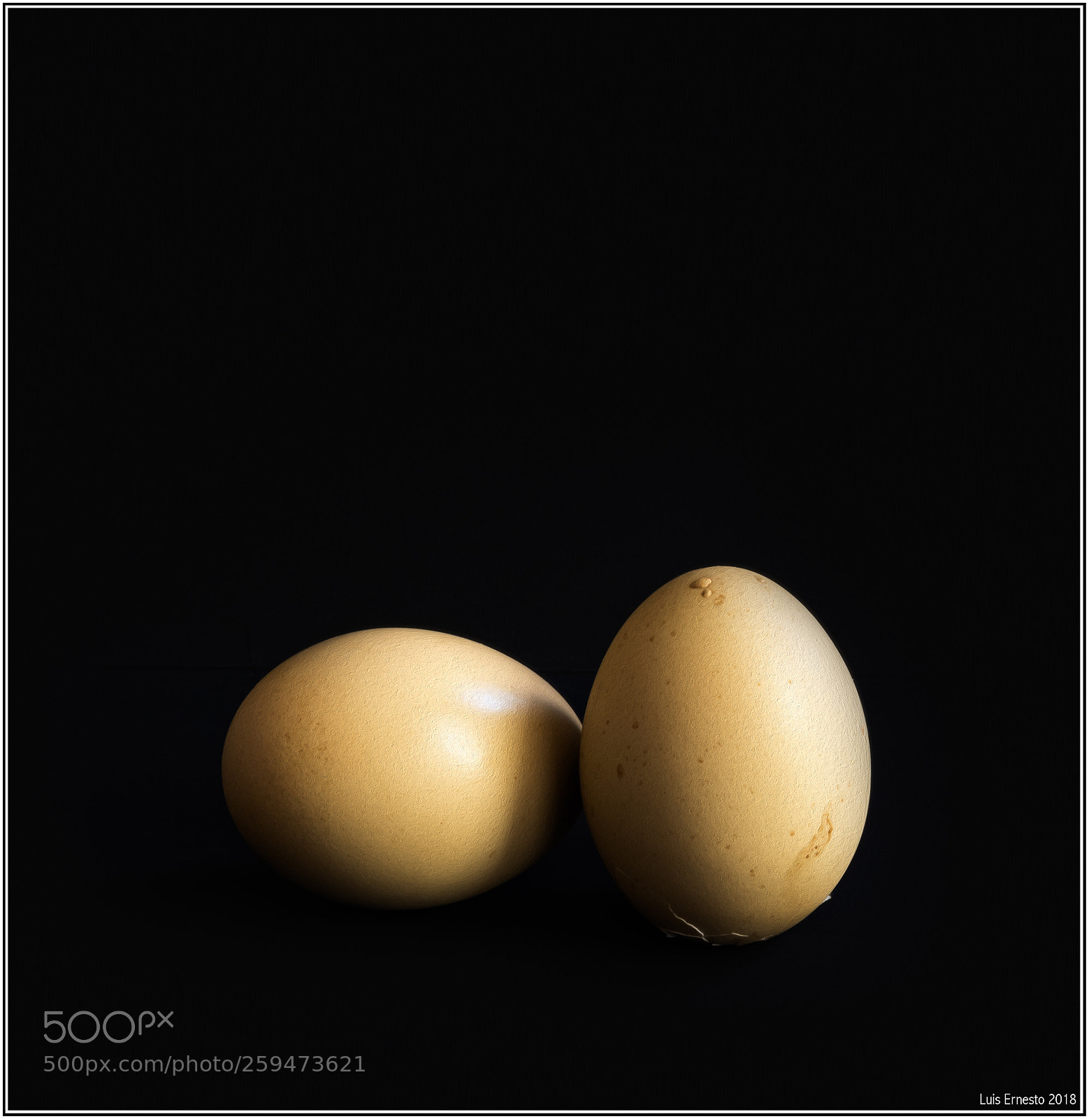 Fujifilm GFX 50S sample photo. Huevos photography