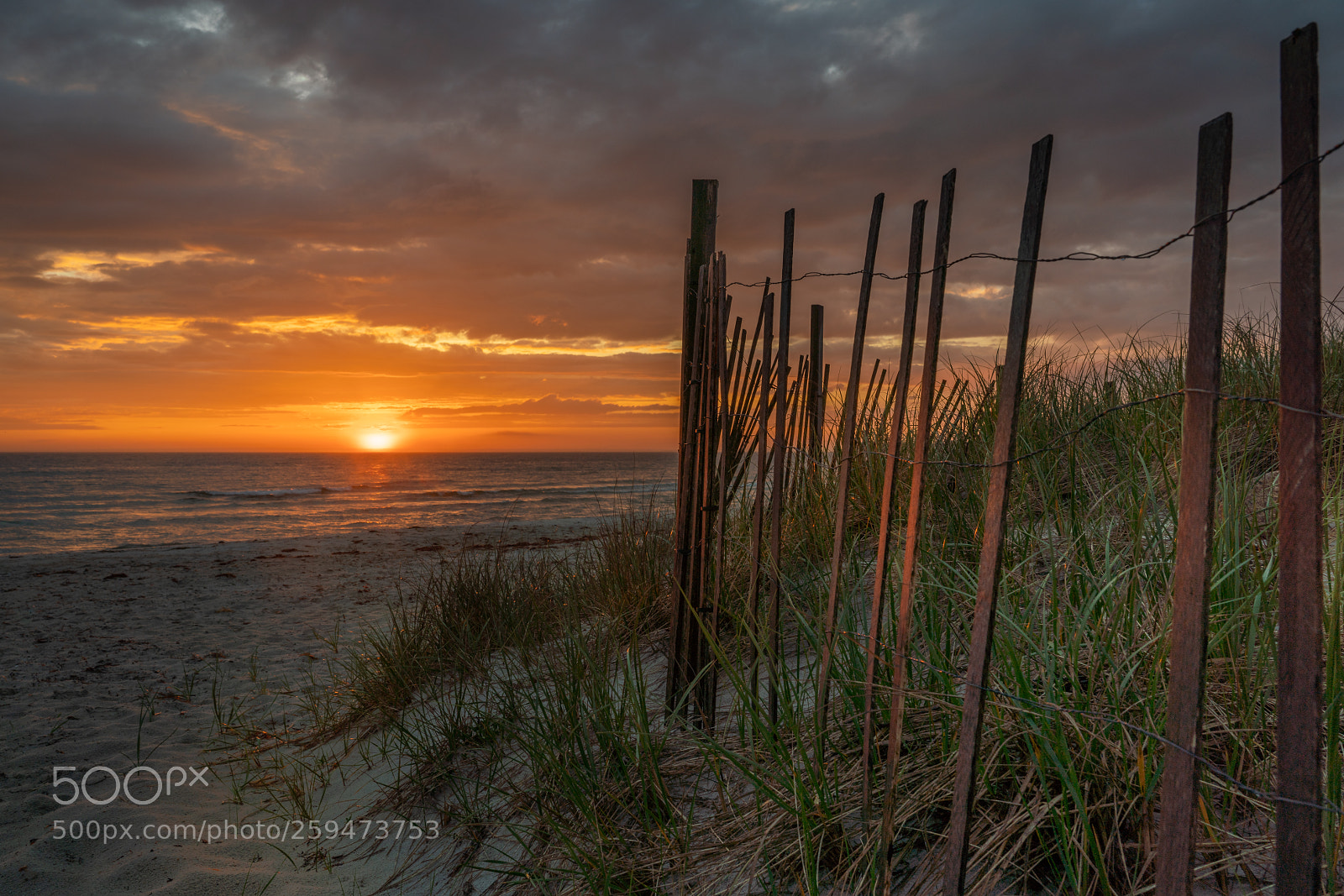Sony a7R III sample photo. Sand fence at sunset photography