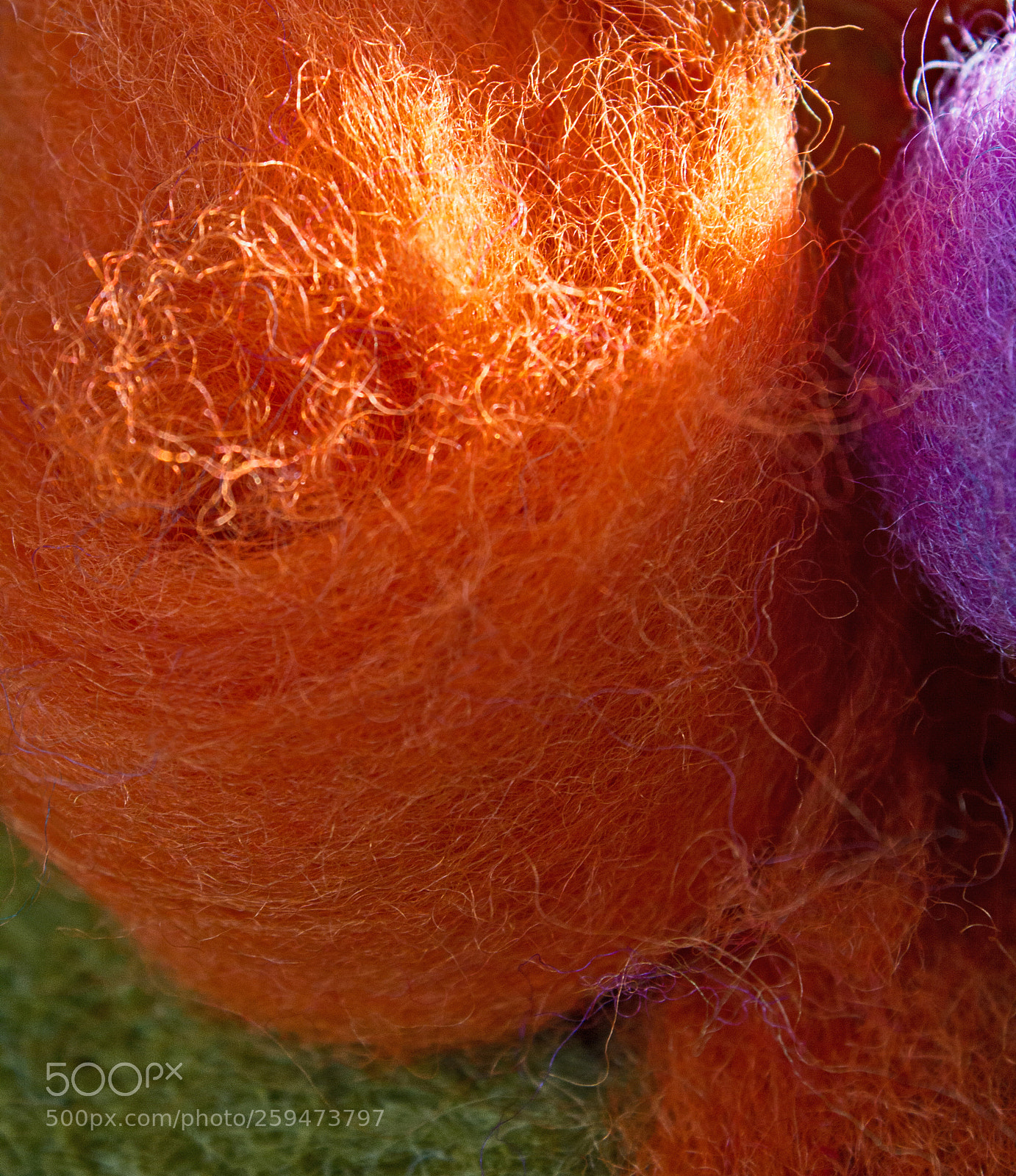 Canon EOS 600D (Rebel EOS T3i / EOS Kiss X5) sample photo. Wool photography