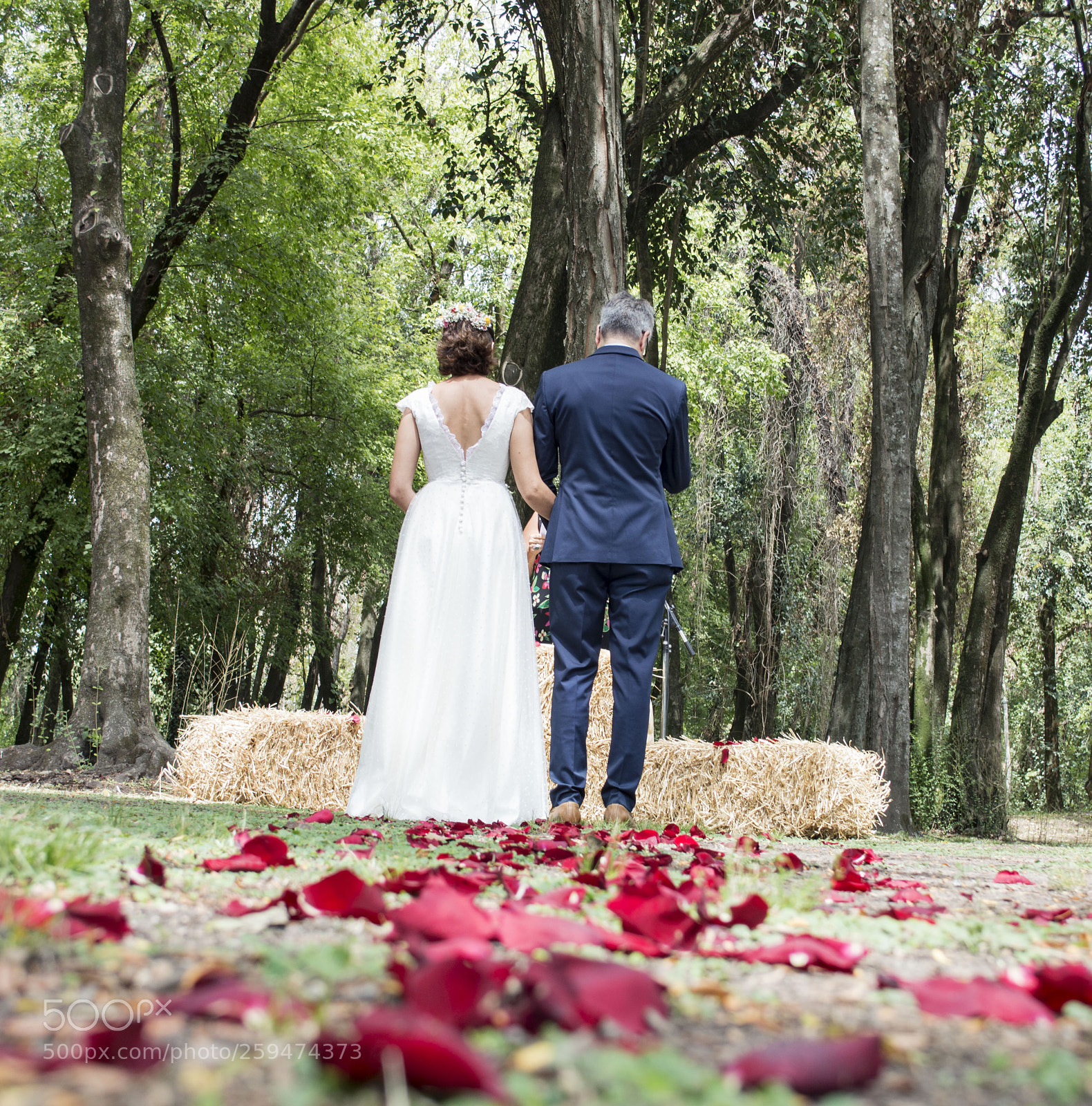 Nikon D3200 sample photo. Camino de amor photography