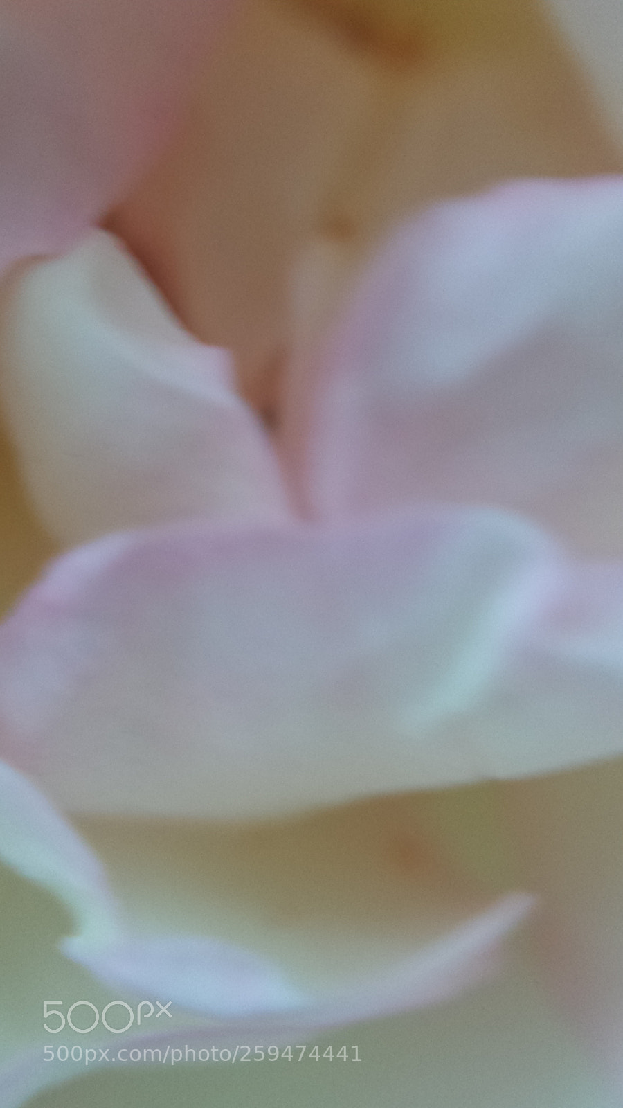 Samsung Galaxy S4 sample photo. Untitled photography