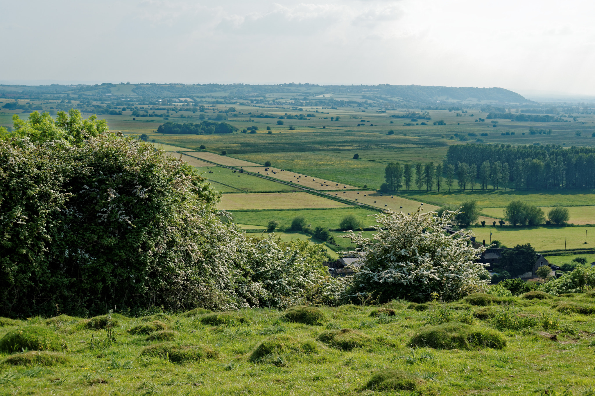 Sony Alpha DSLR-A900 sample photo. Green and pleasant land ii photography