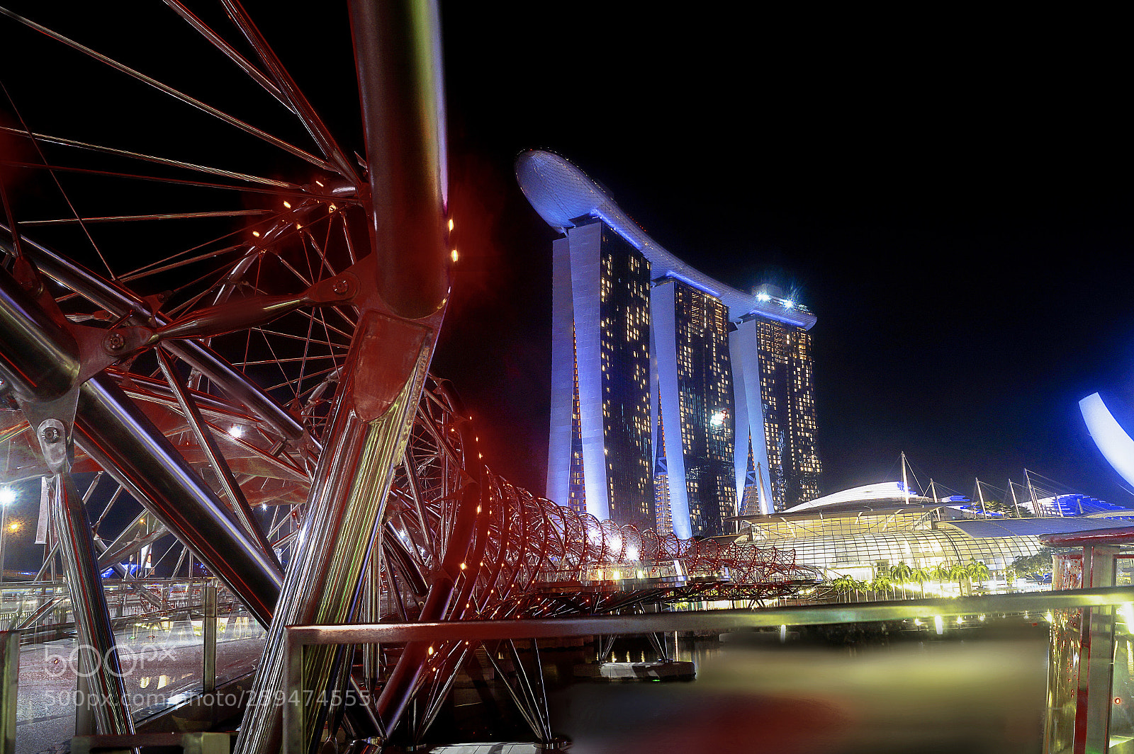 Sony SLT-A58 sample photo. #helixbridgesingapore photography