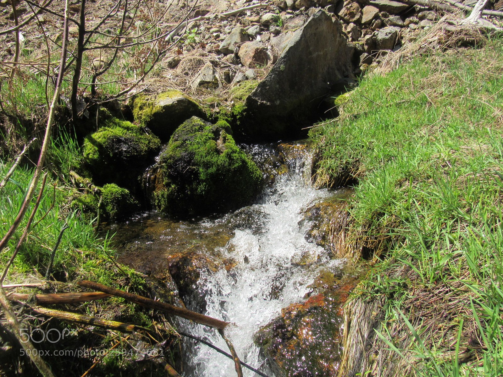 Canon PowerShot SX530 HS sample photo. 20180513234142_1.jpg photography
