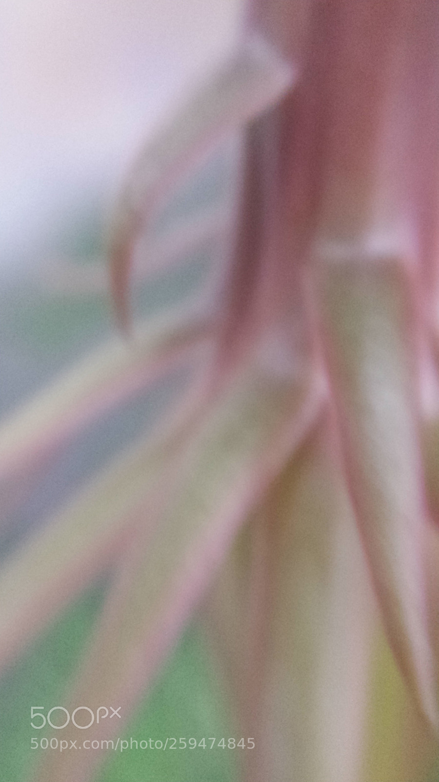 Samsung Galaxy S4 sample photo. Untitled photography