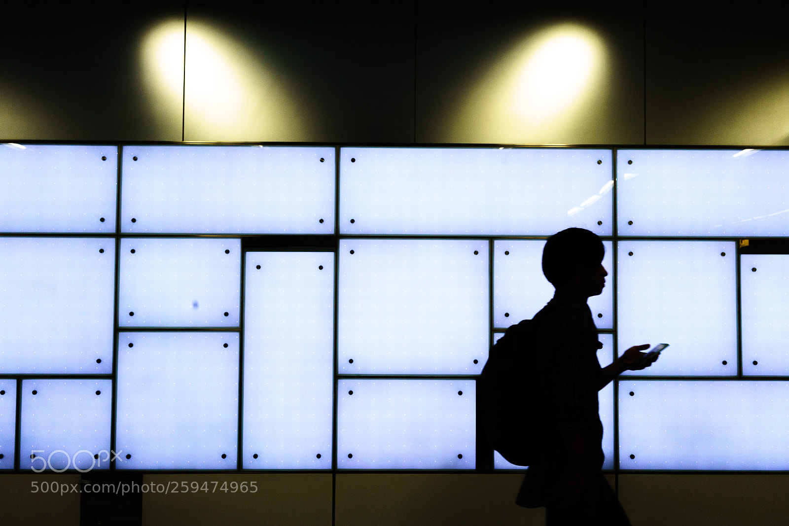 Sony a7R III sample photo. Lonely in the light photography