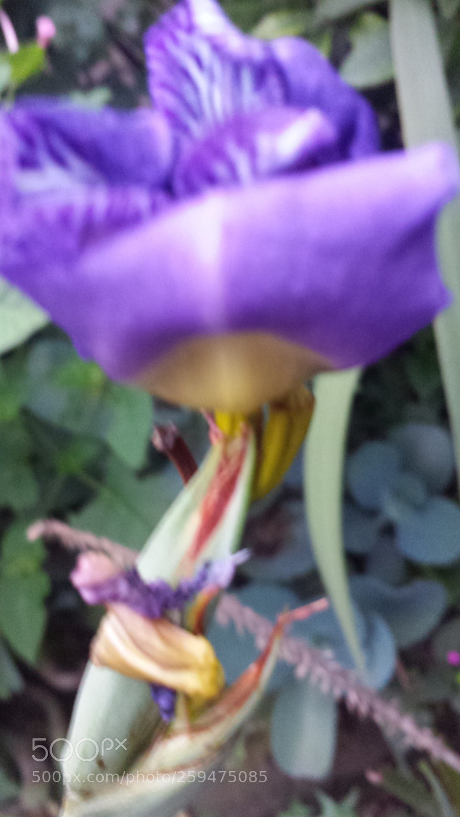 Samsung Galaxy S4 sample photo. Untitled photography