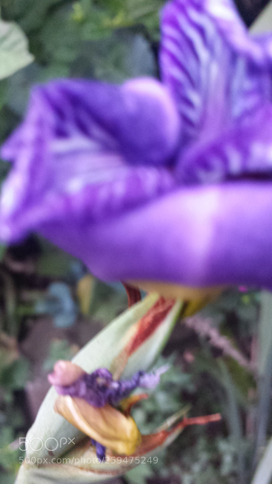 Samsung Galaxy S4 sample photo. Untitled photography