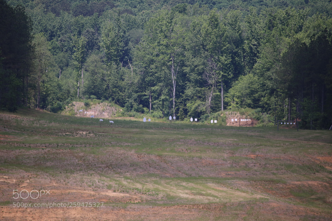 Canon EOS 6D sample photo. Img photography