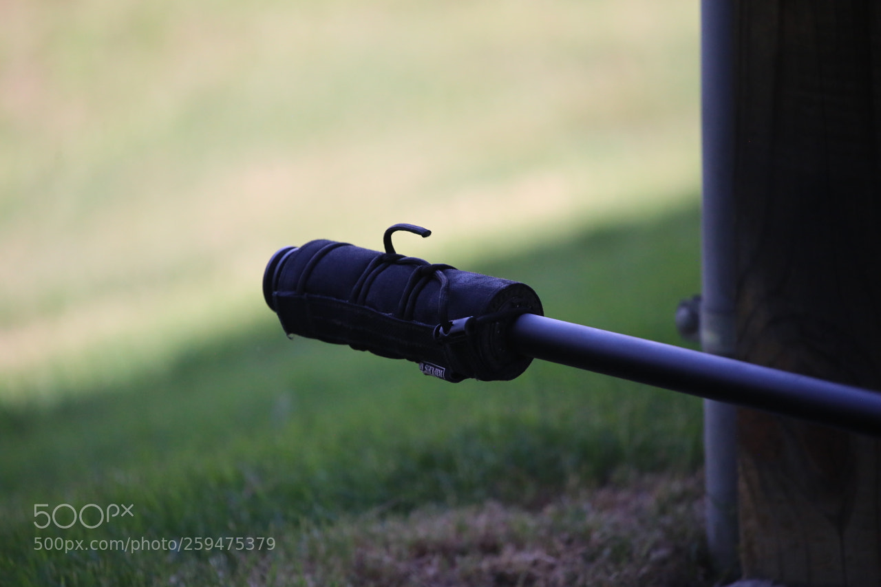 Canon EOS 6D sample photo. Img photography