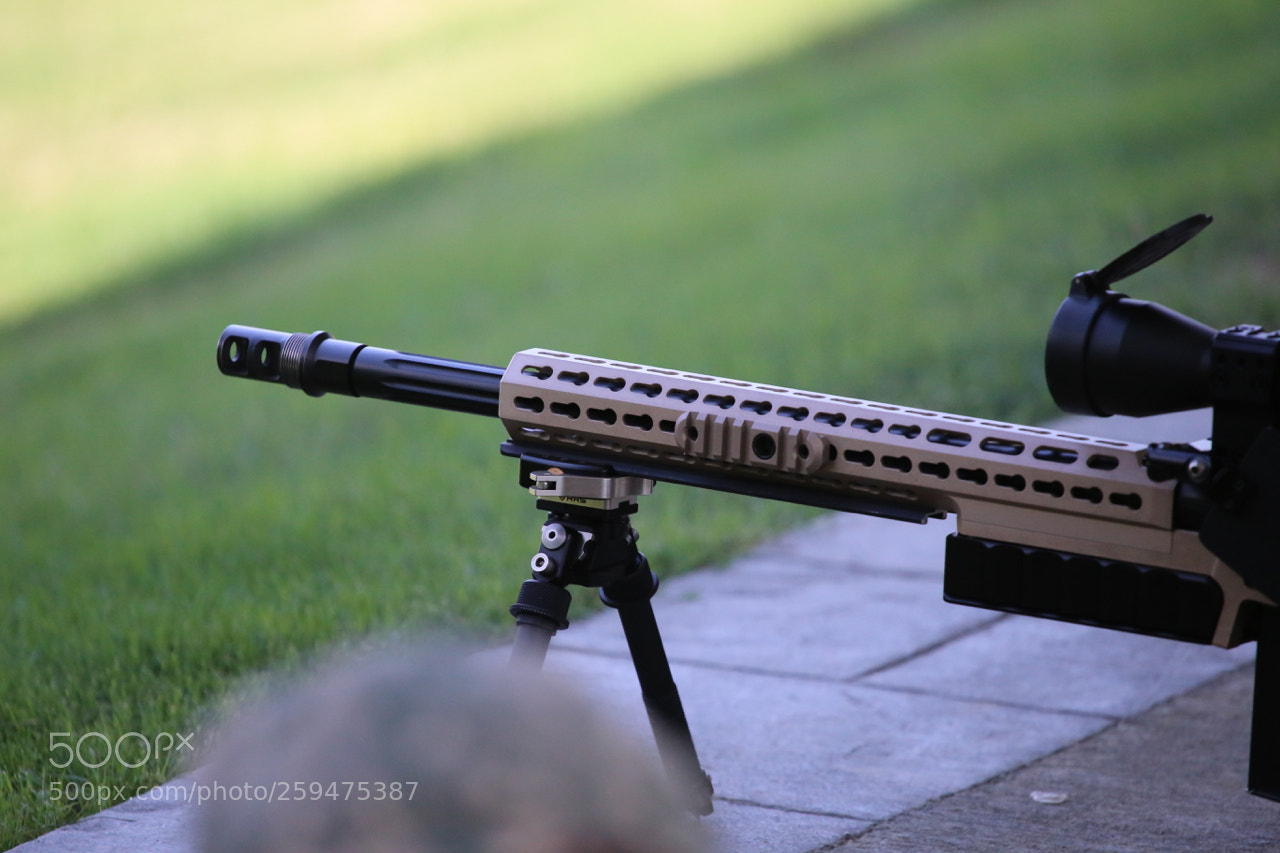 Canon EOS 6D sample photo. Img photography