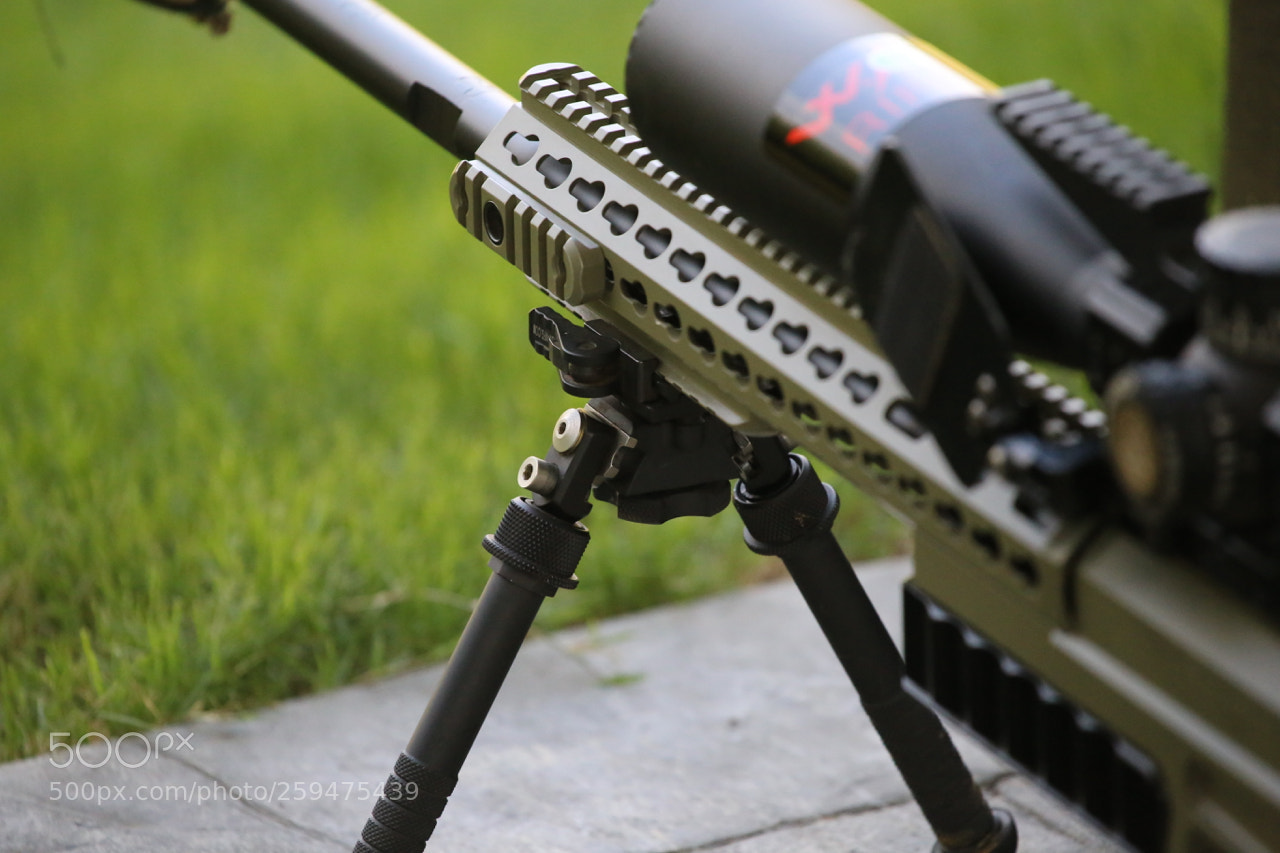 Canon EOS 6D sample photo. Img photography