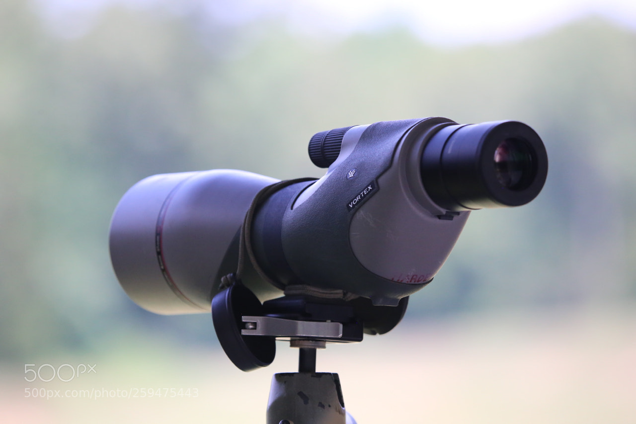 Canon EOS 6D sample photo. Img photography