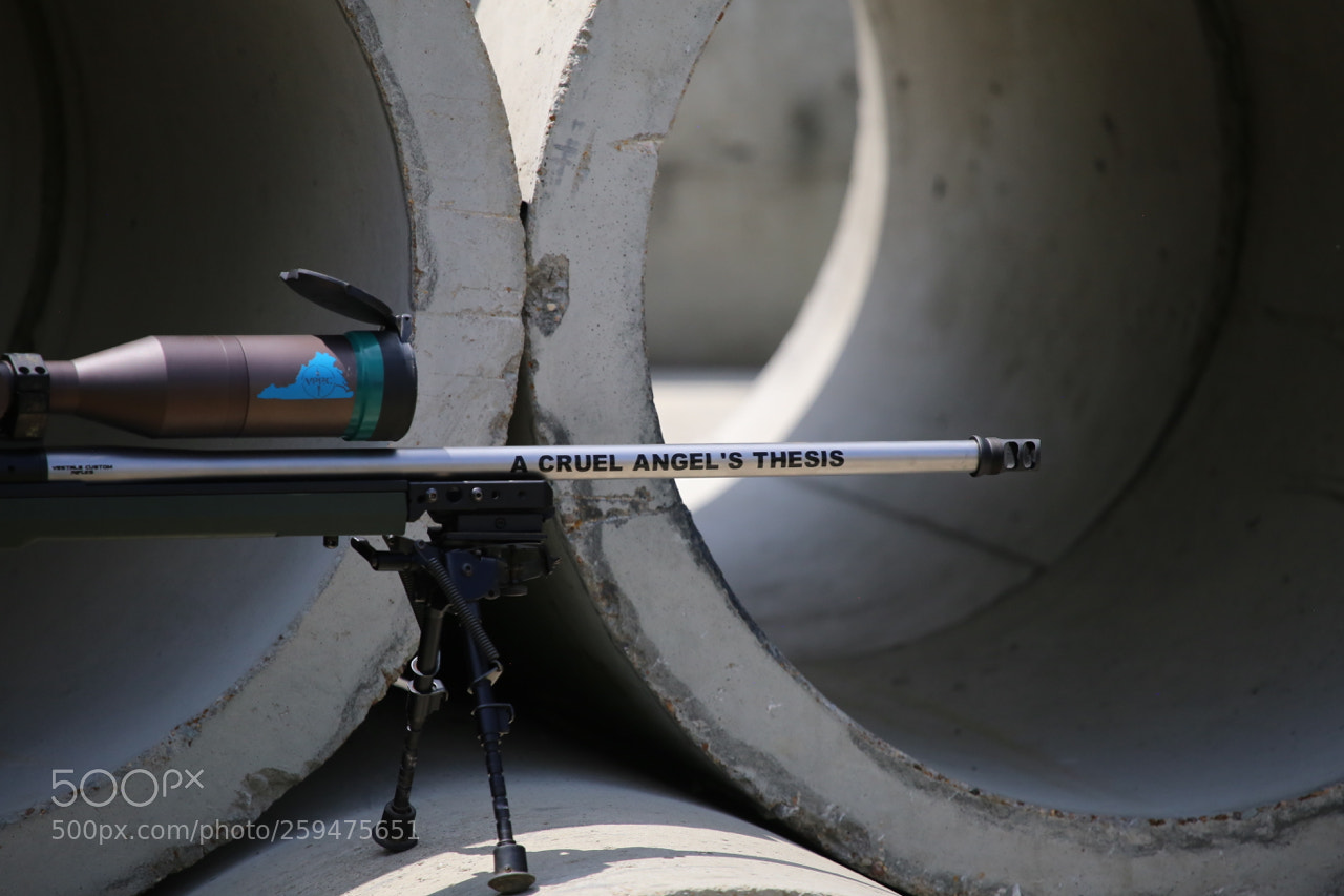 Canon EOS 6D sample photo. Img photography