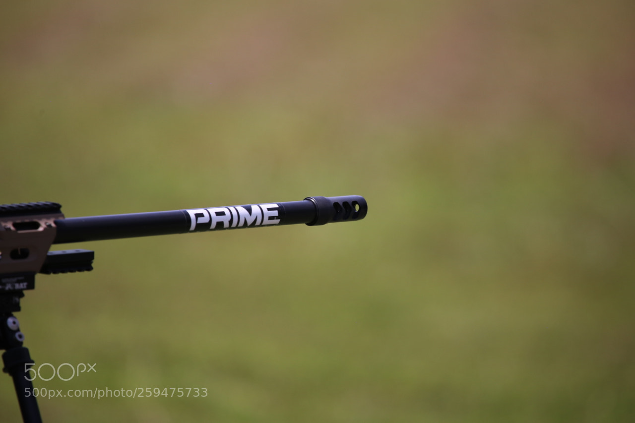 Canon EOS 6D sample photo. Img photography
