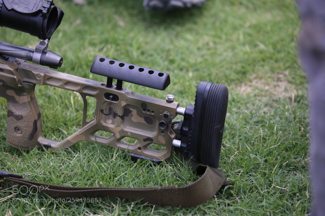 Canon EOS 6D sample photo. Img photography