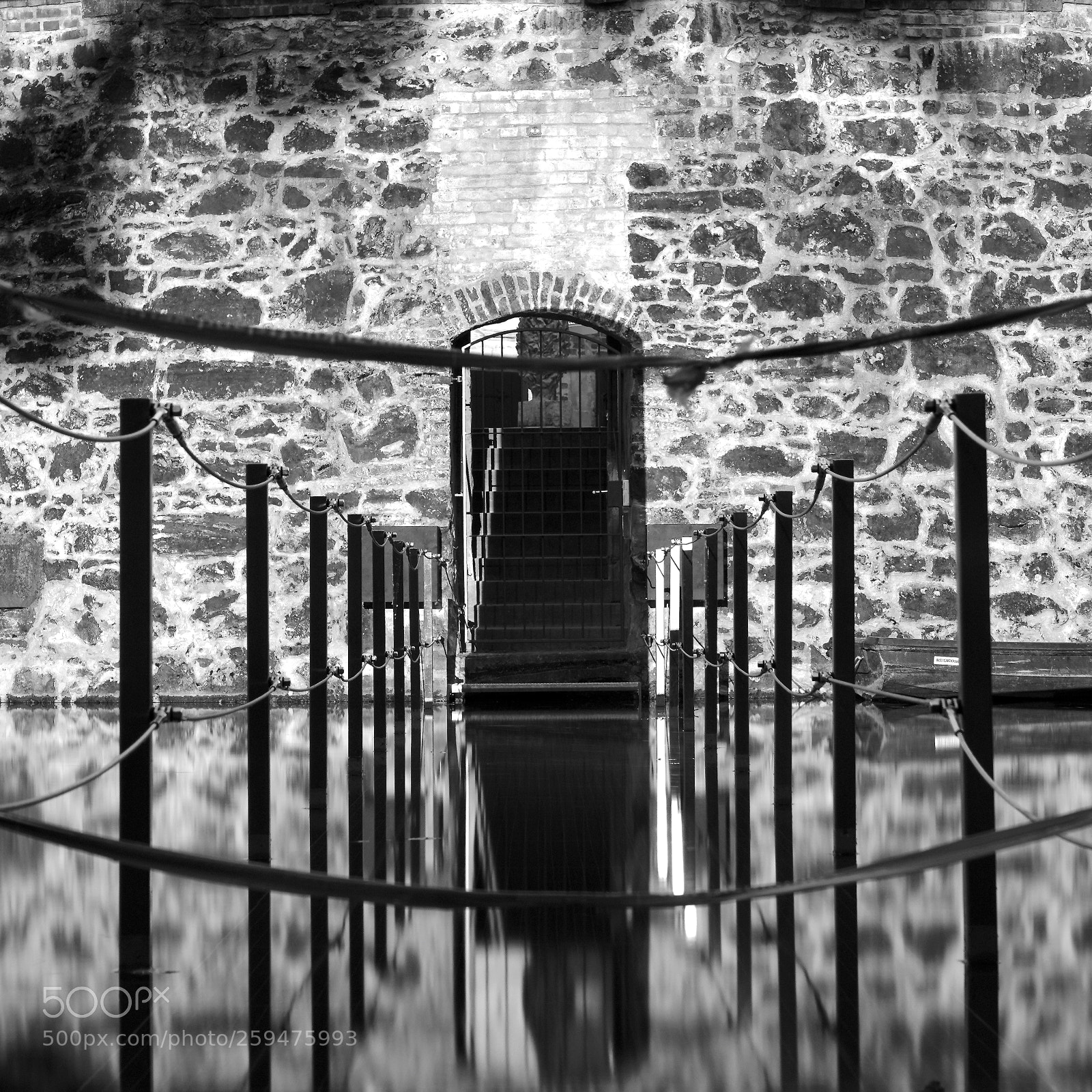 Sony a7R III sample photo. Walk over water photography
