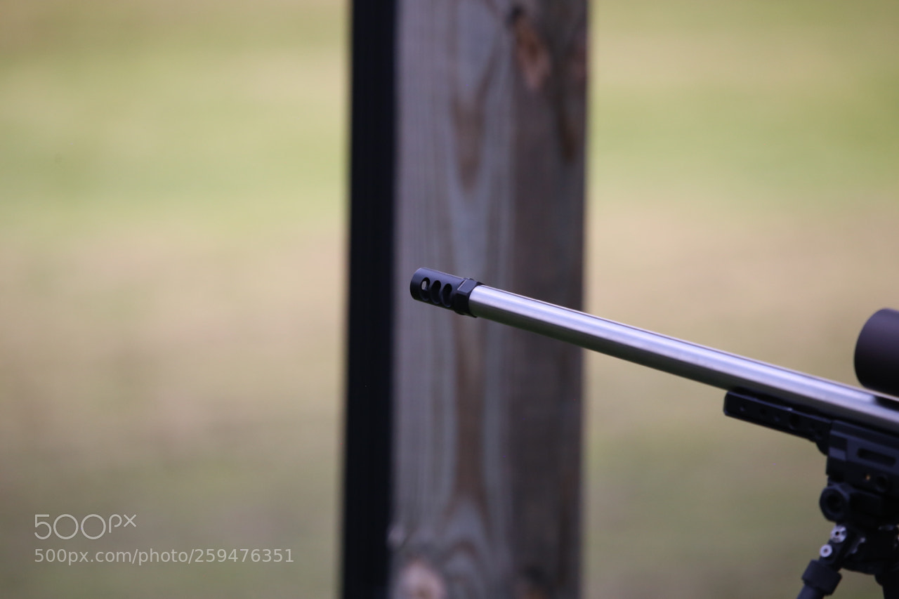 Canon EOS 6D sample photo. Img photography