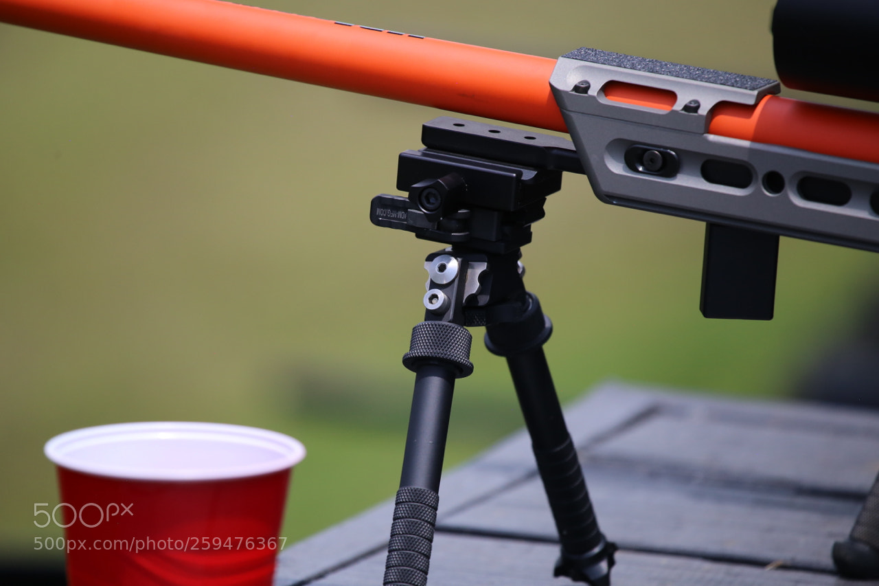 Canon EOS 6D sample photo. Img photography