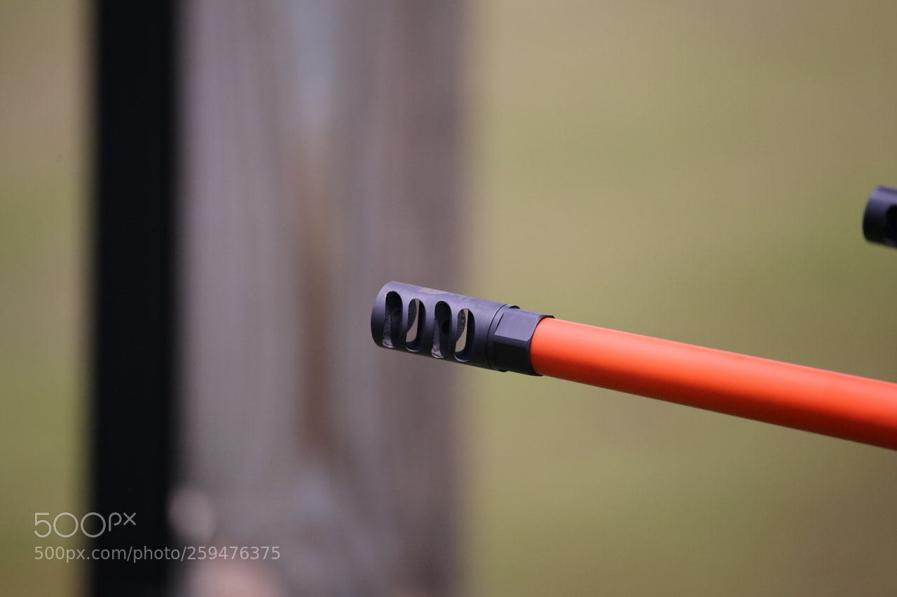 Canon EOS 6D sample photo. Img photography