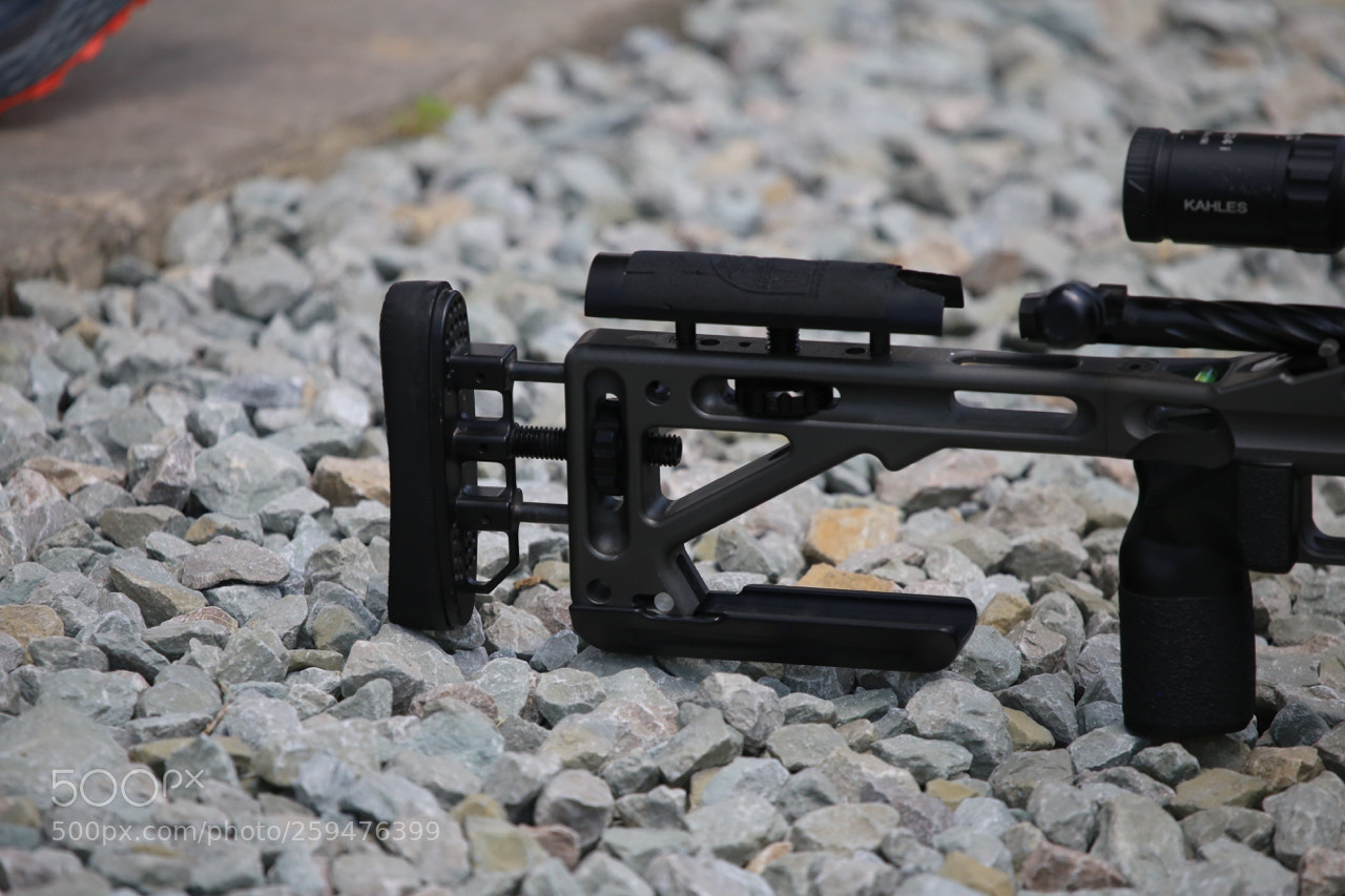 Canon EOS 6D sample photo. Img photography