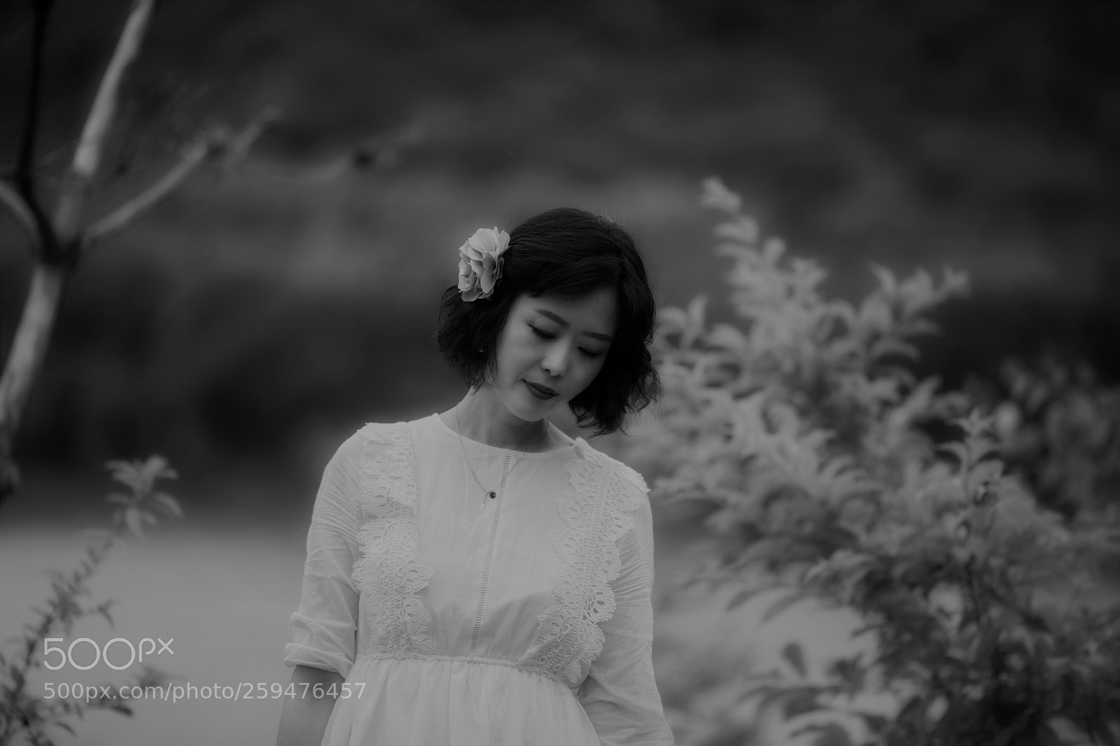 Canon EOS 5D Mark IV sample photo. Untitled photography