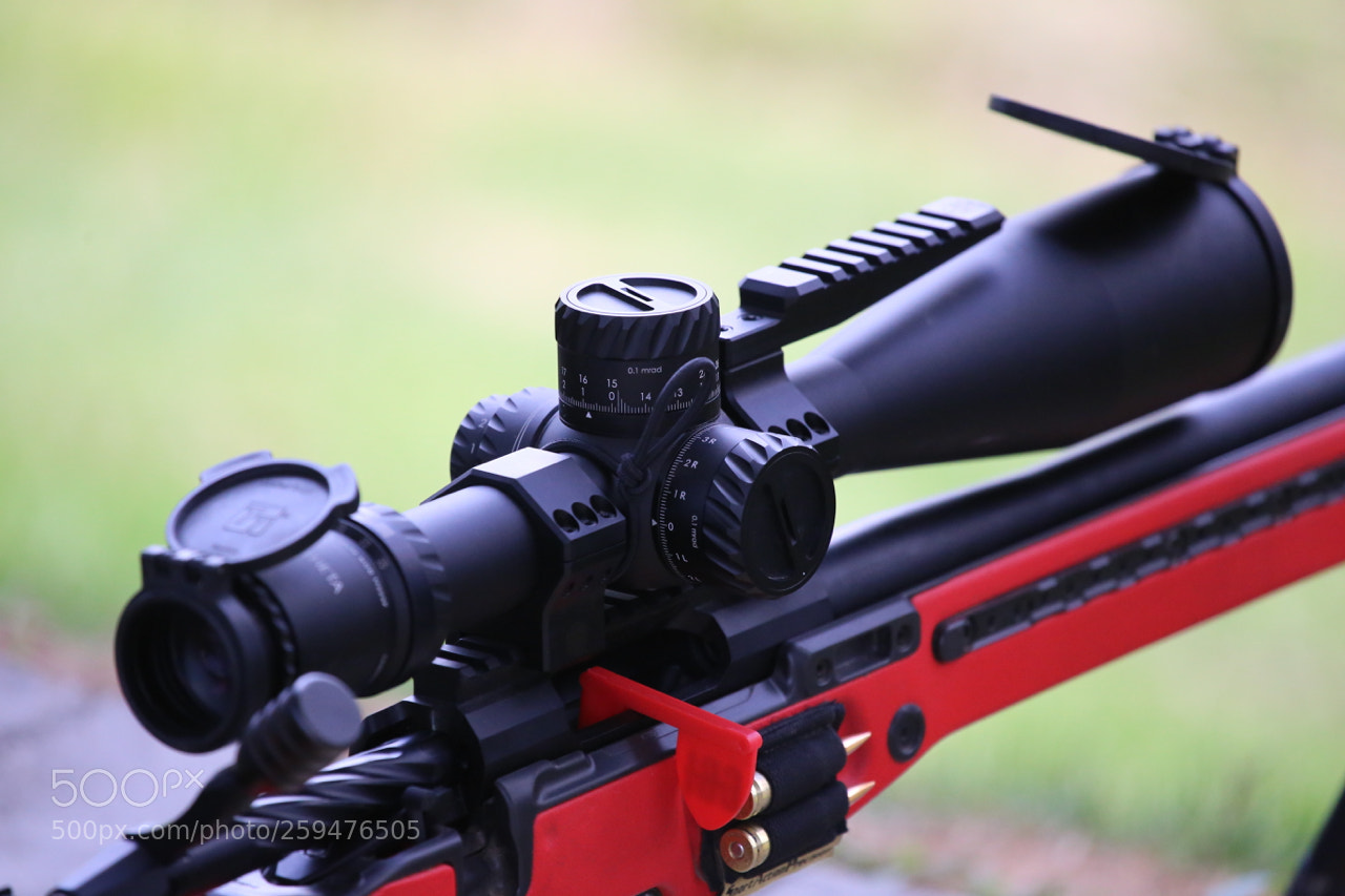 Canon EOS 6D sample photo. Img photography