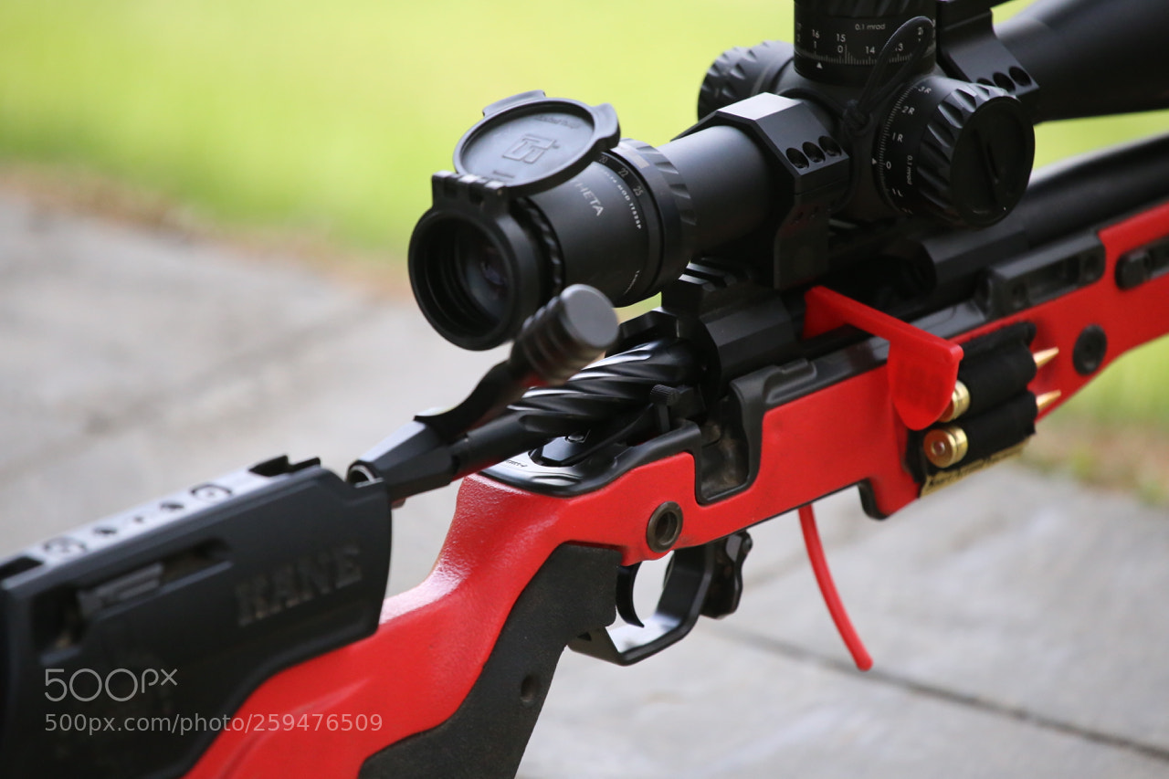 Canon EOS 6D sample photo. Img photography