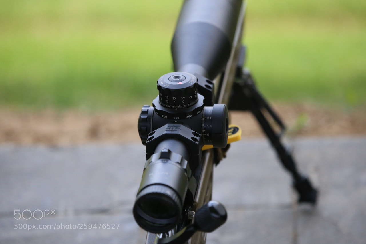 Canon EOS 6D sample photo. Img photography